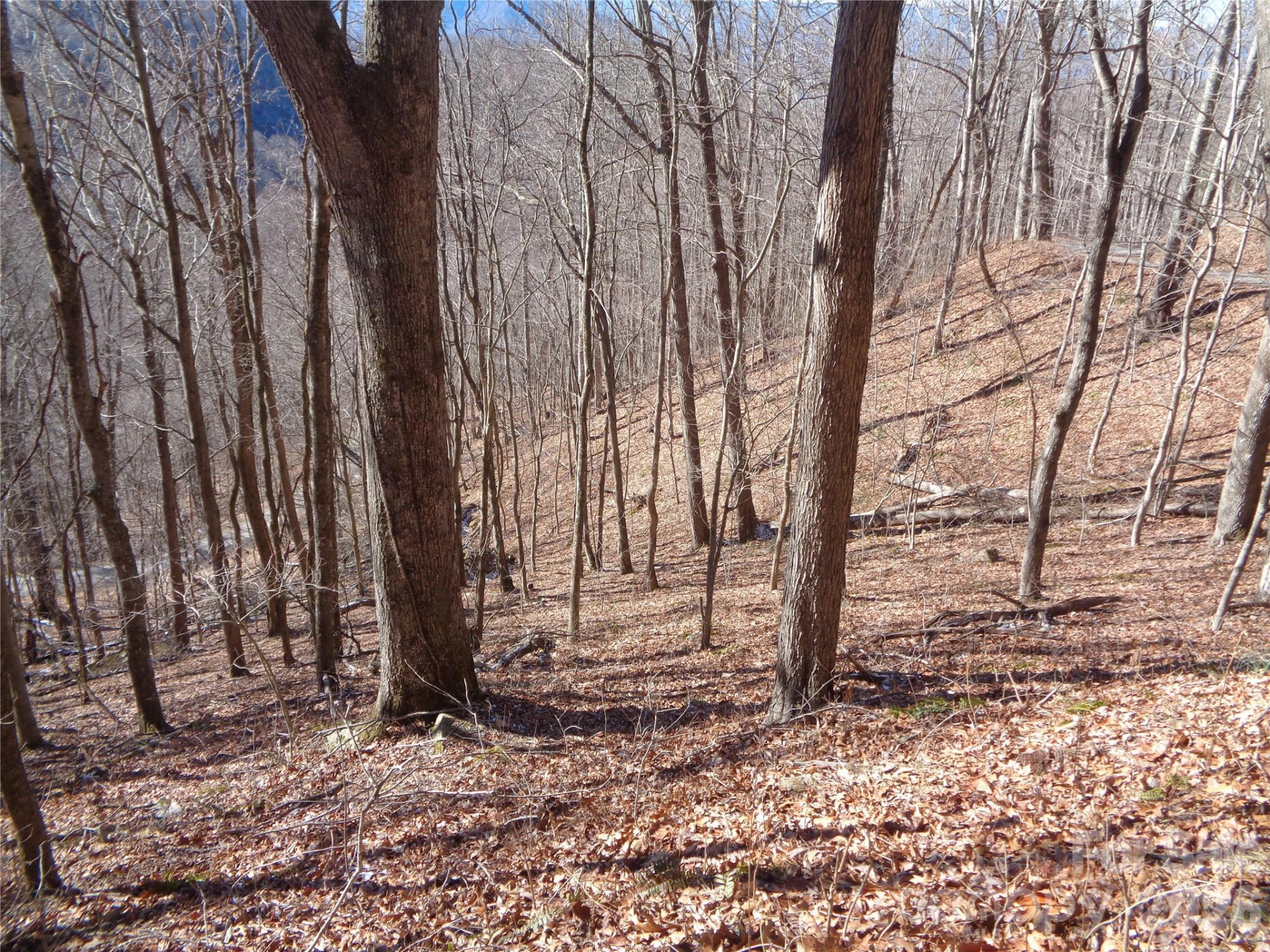 00 Listening Cove #41 - Photo 12