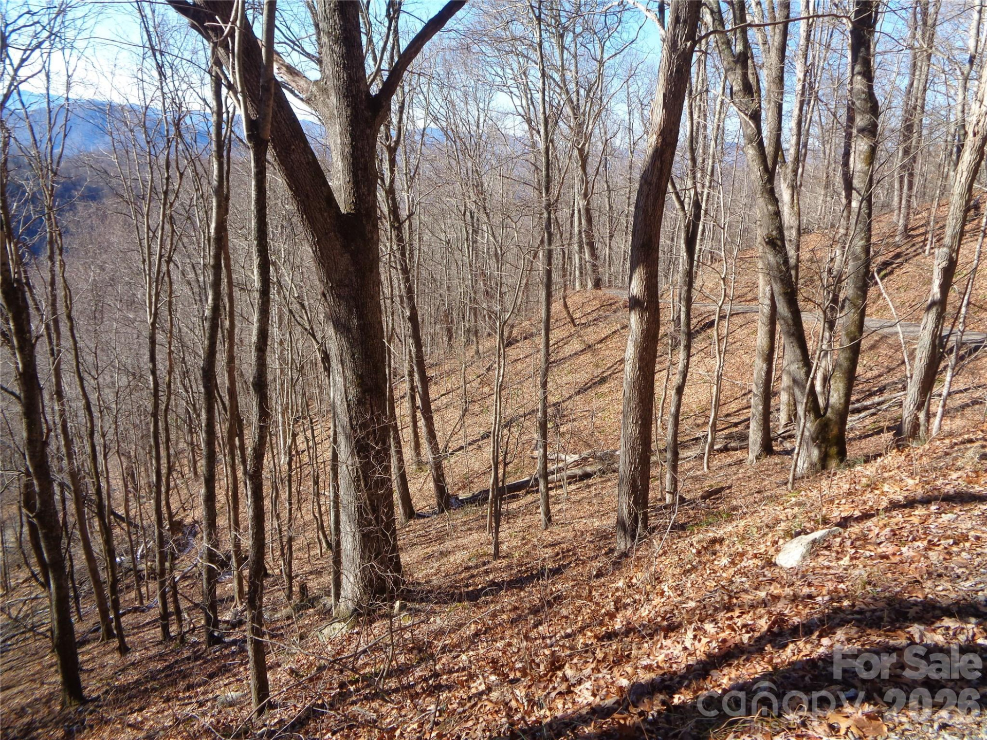 00 Listening Cove #41 - Photo 3