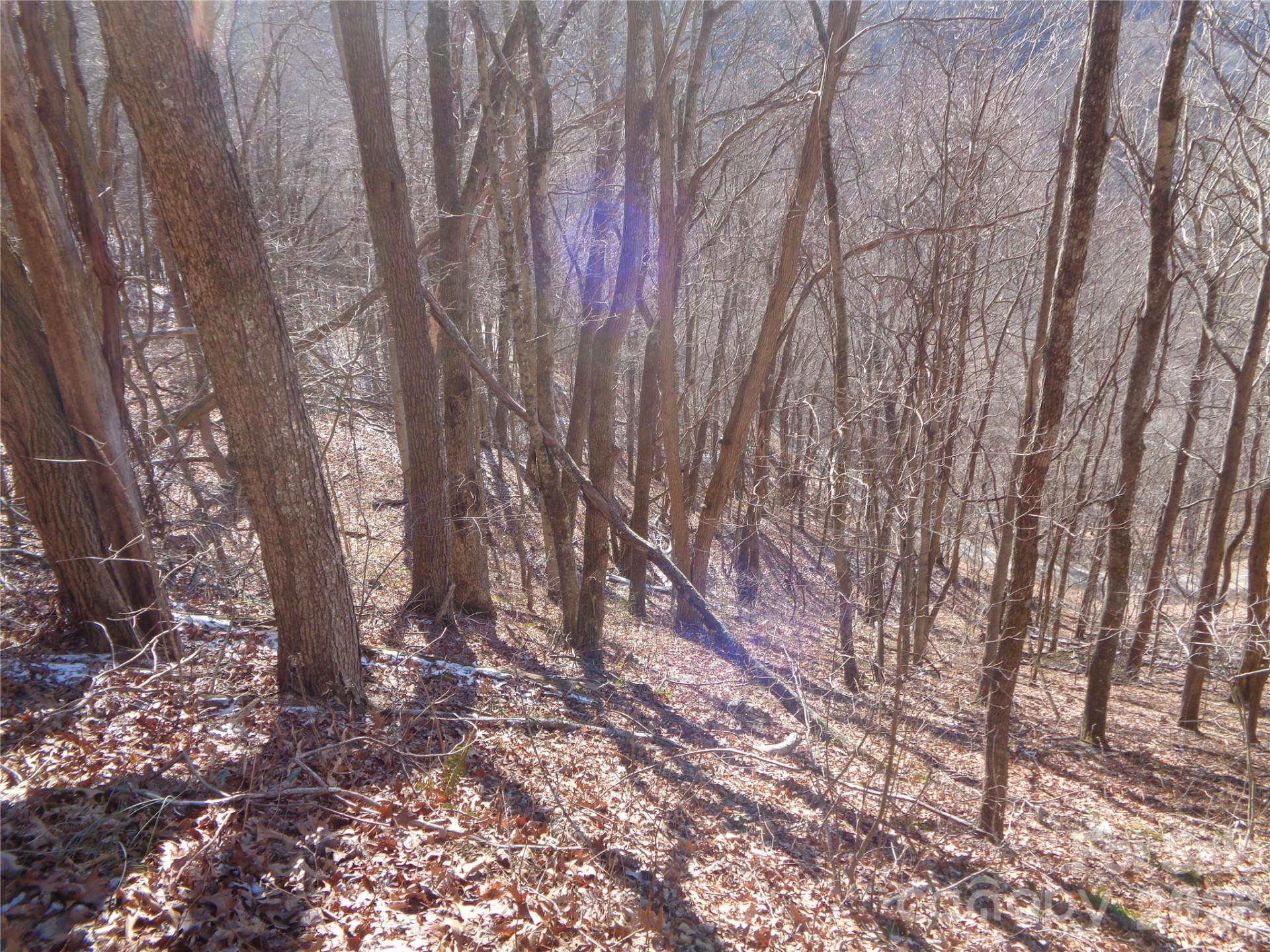 00 Listening Cove #41 - Photo 5