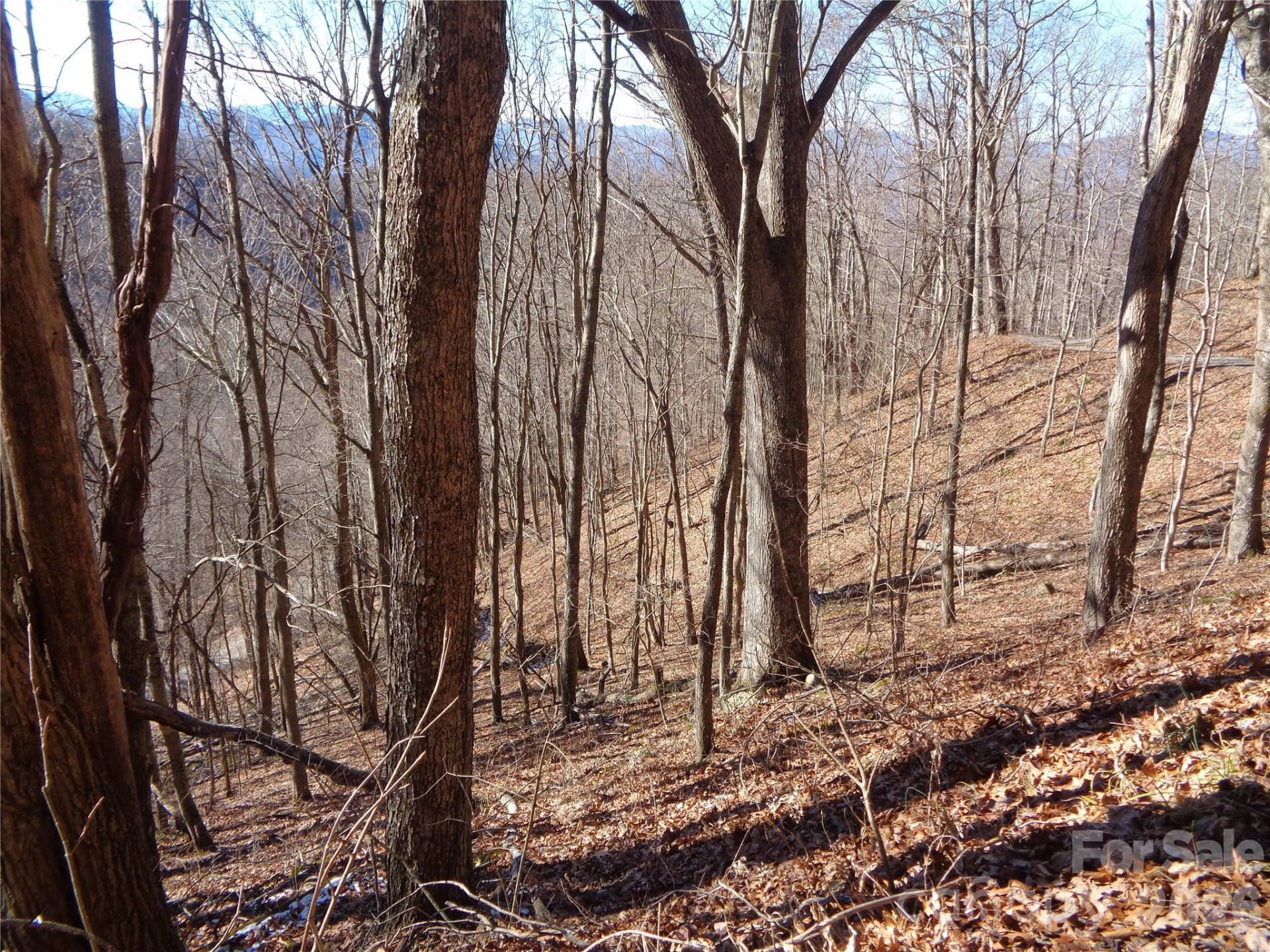 00 Listening Cove #41 - Photo 6