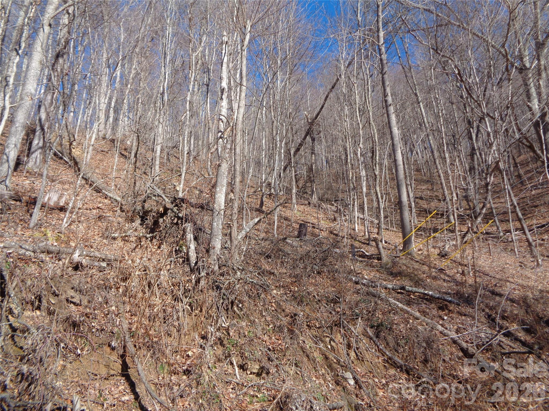 00 Listening Cove #41 - Photo 7