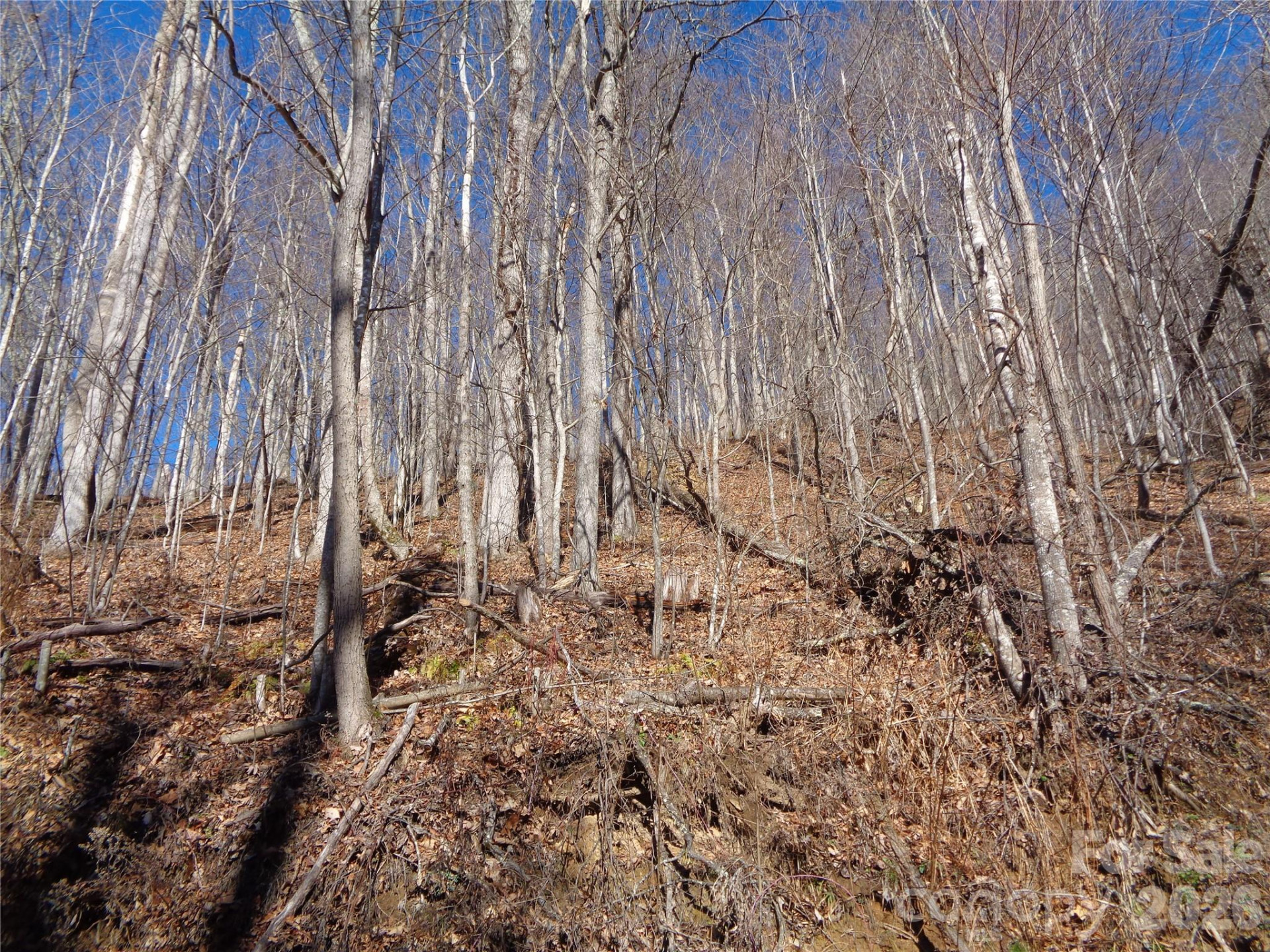 00 Listening Cove #41 - Photo 8