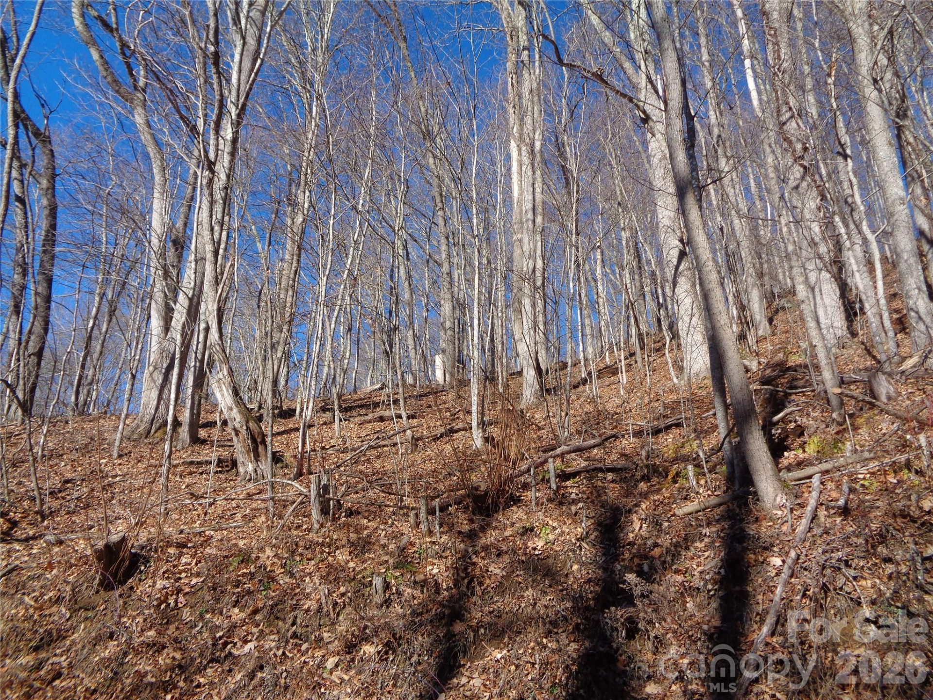 00 Listening Cove #41 - Photo 9