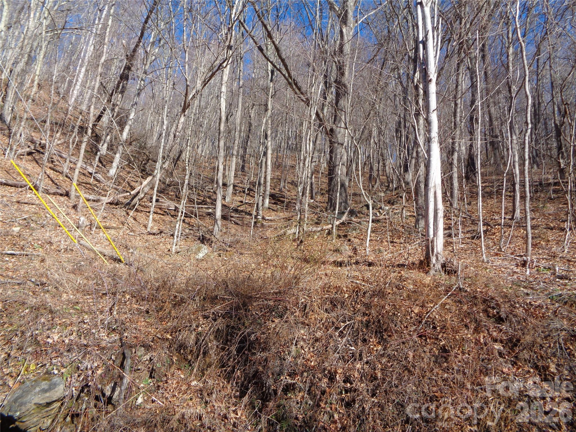 00 Listening Cove #41 - Photo 10