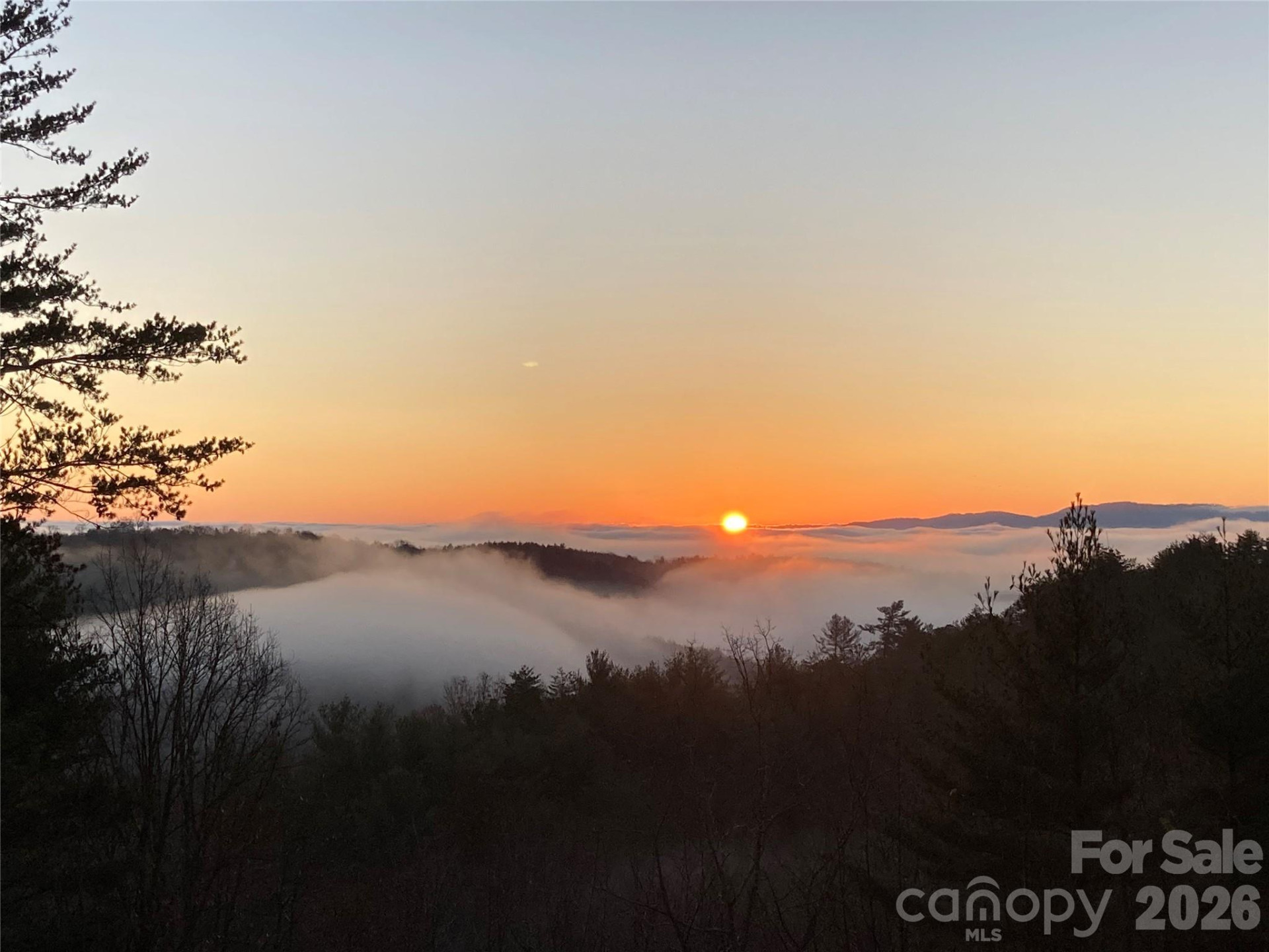 1016 Horizon Trail - Photo 45