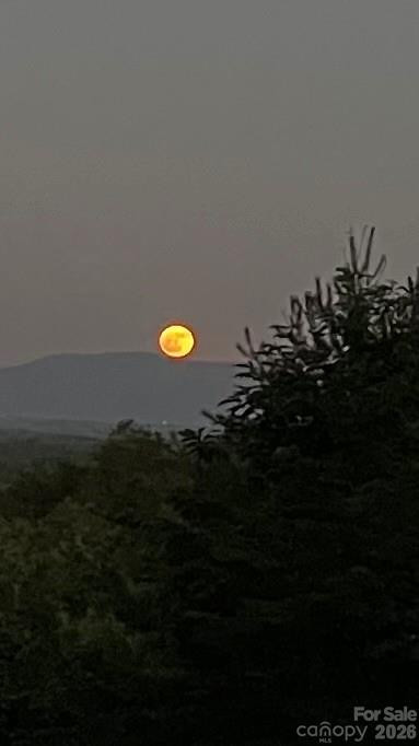 1016 Horizon Trail - Photo 46