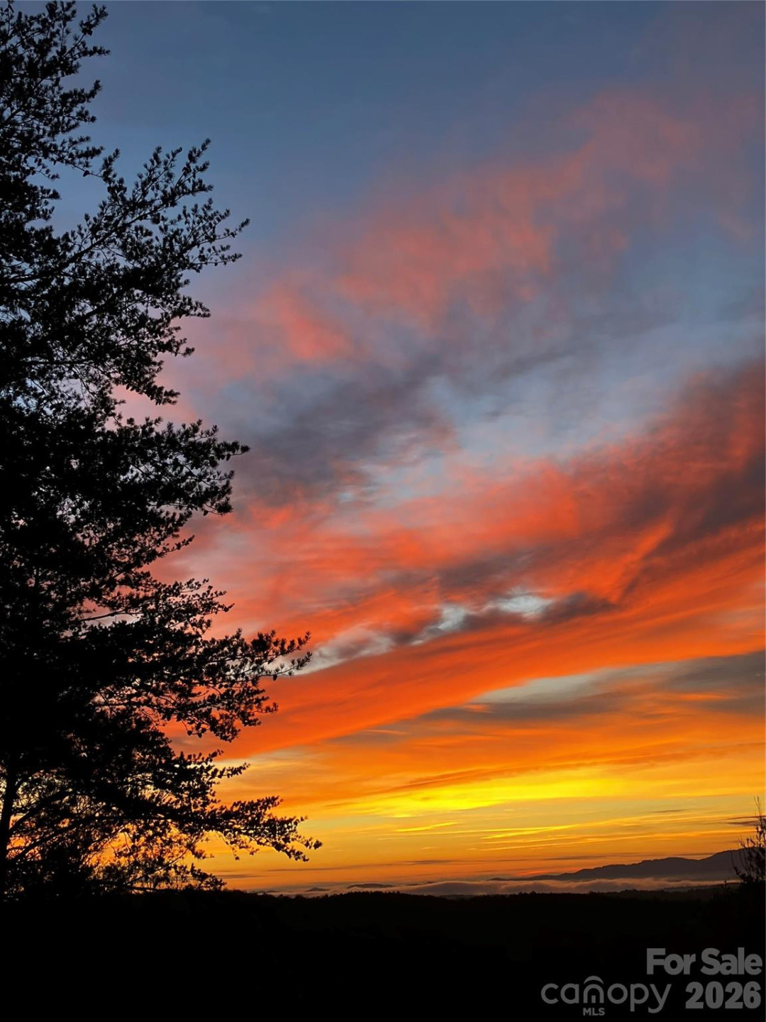 1016 Horizon Trail - Photo 47