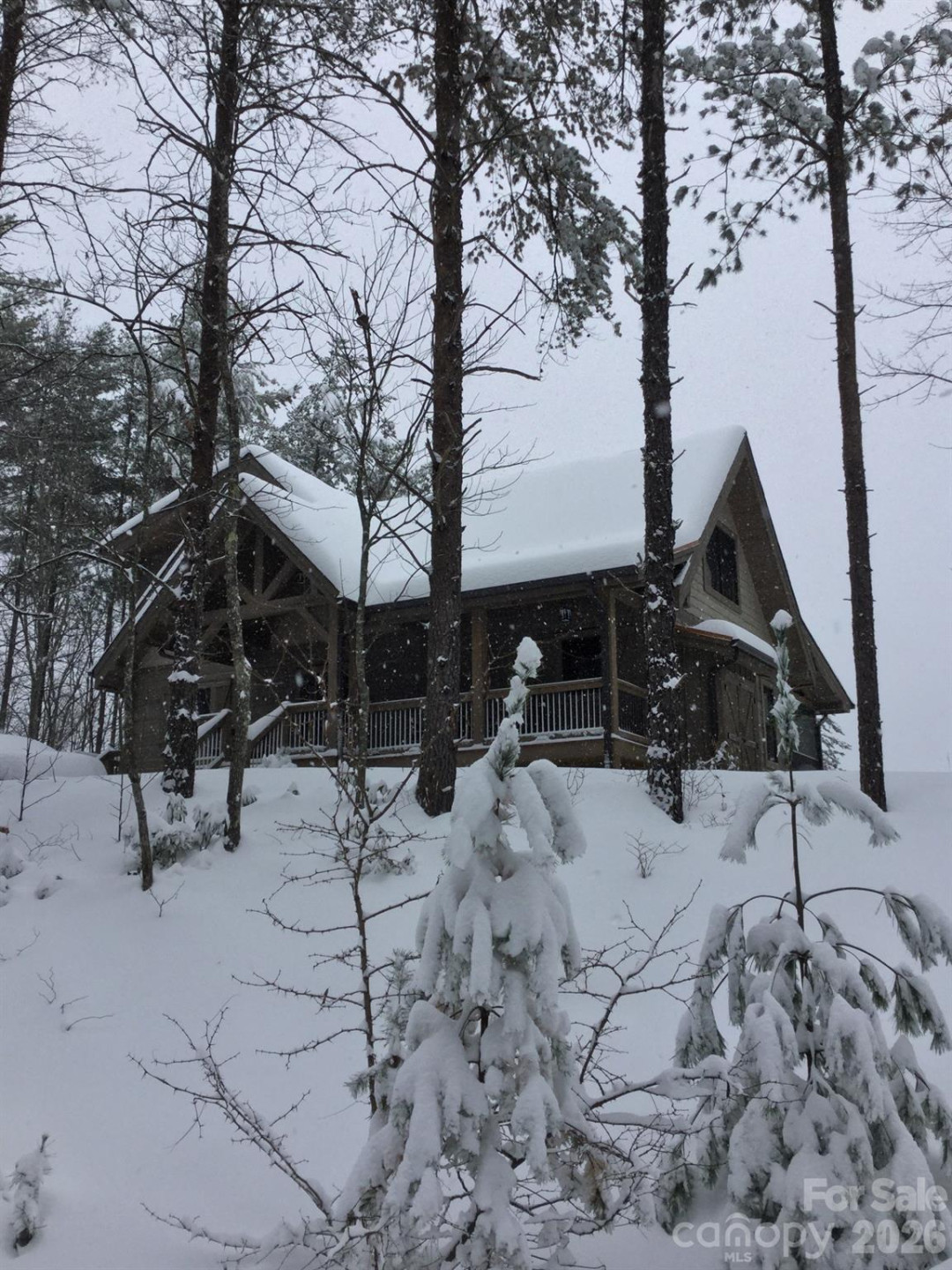 1016 Horizon Trail - Photo 48