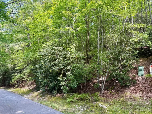 115 Black Oak Drive, Sapphire, NC, 28774