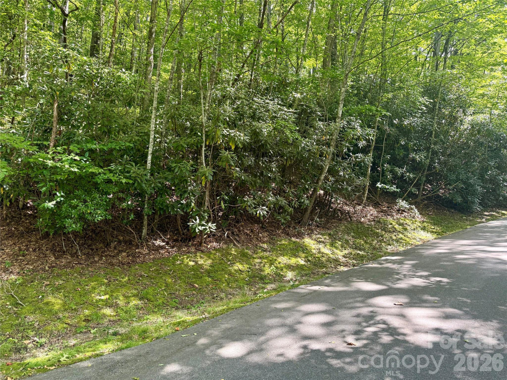 115 Black Oak Drive - Photo 2