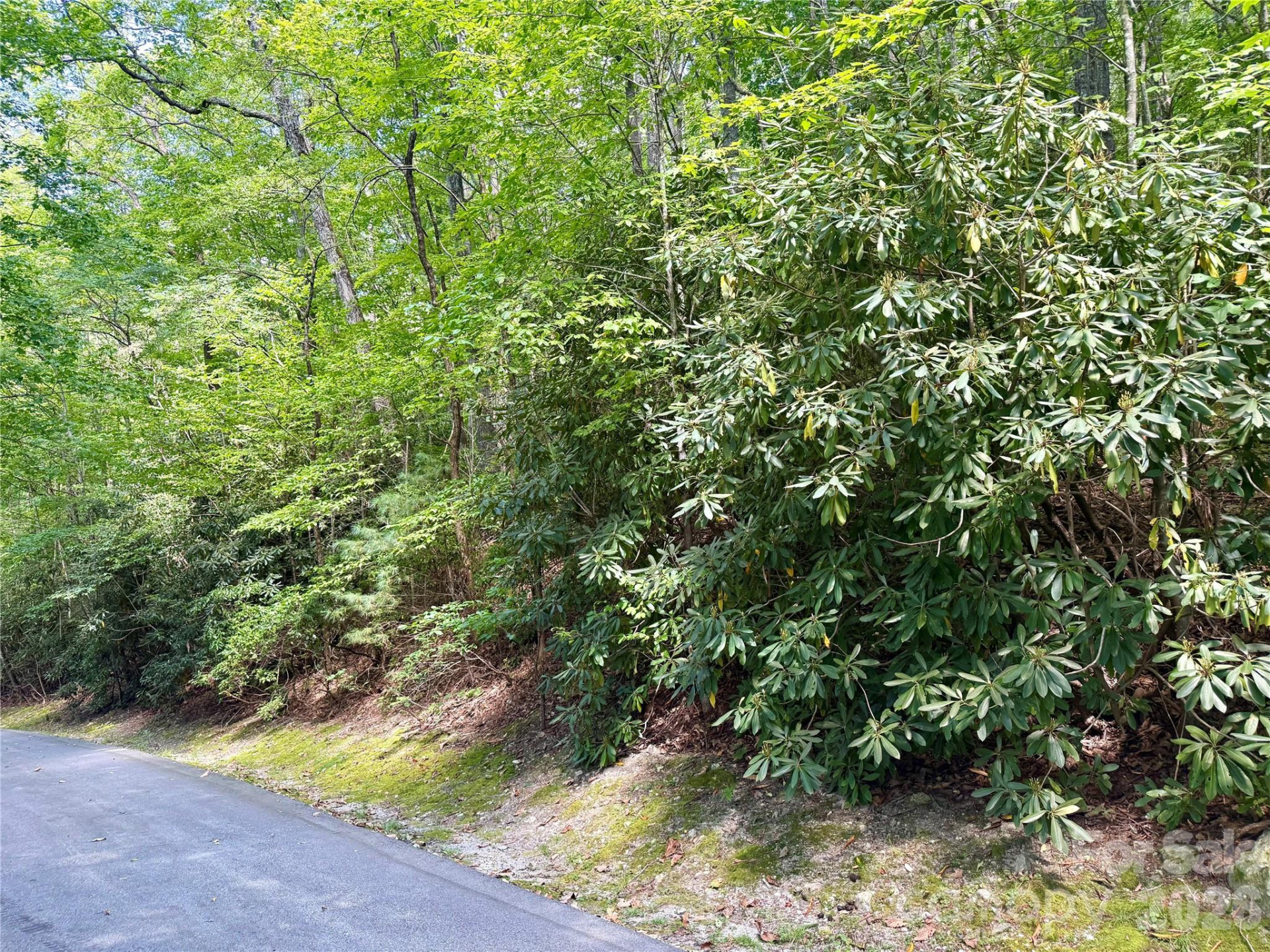 115 Black Oak Drive - Photo 5