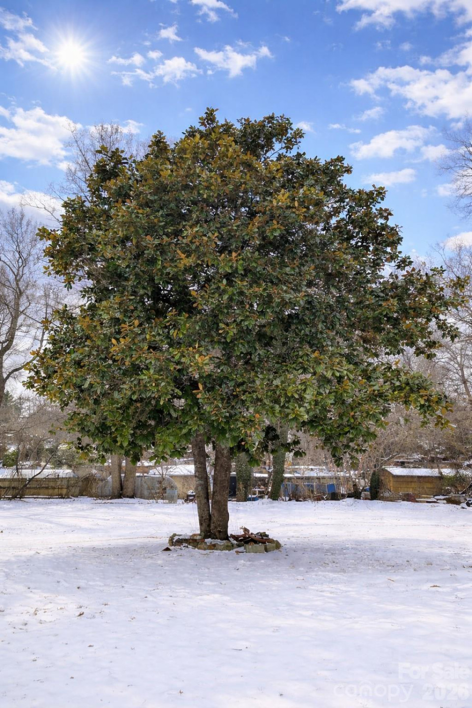 85 Vance Avenue - Photo 4