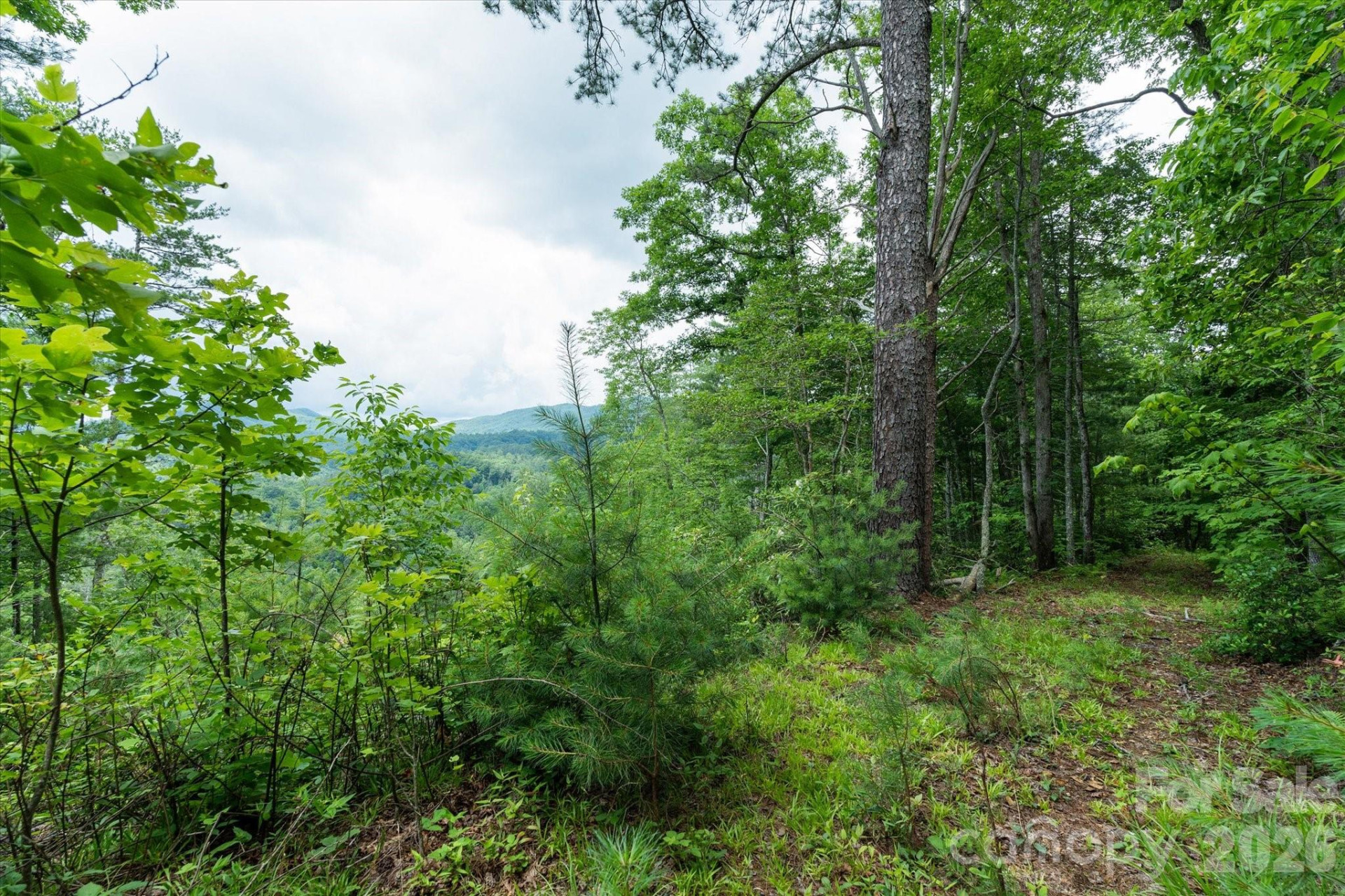 99999 Guntertown Road - Photo 12