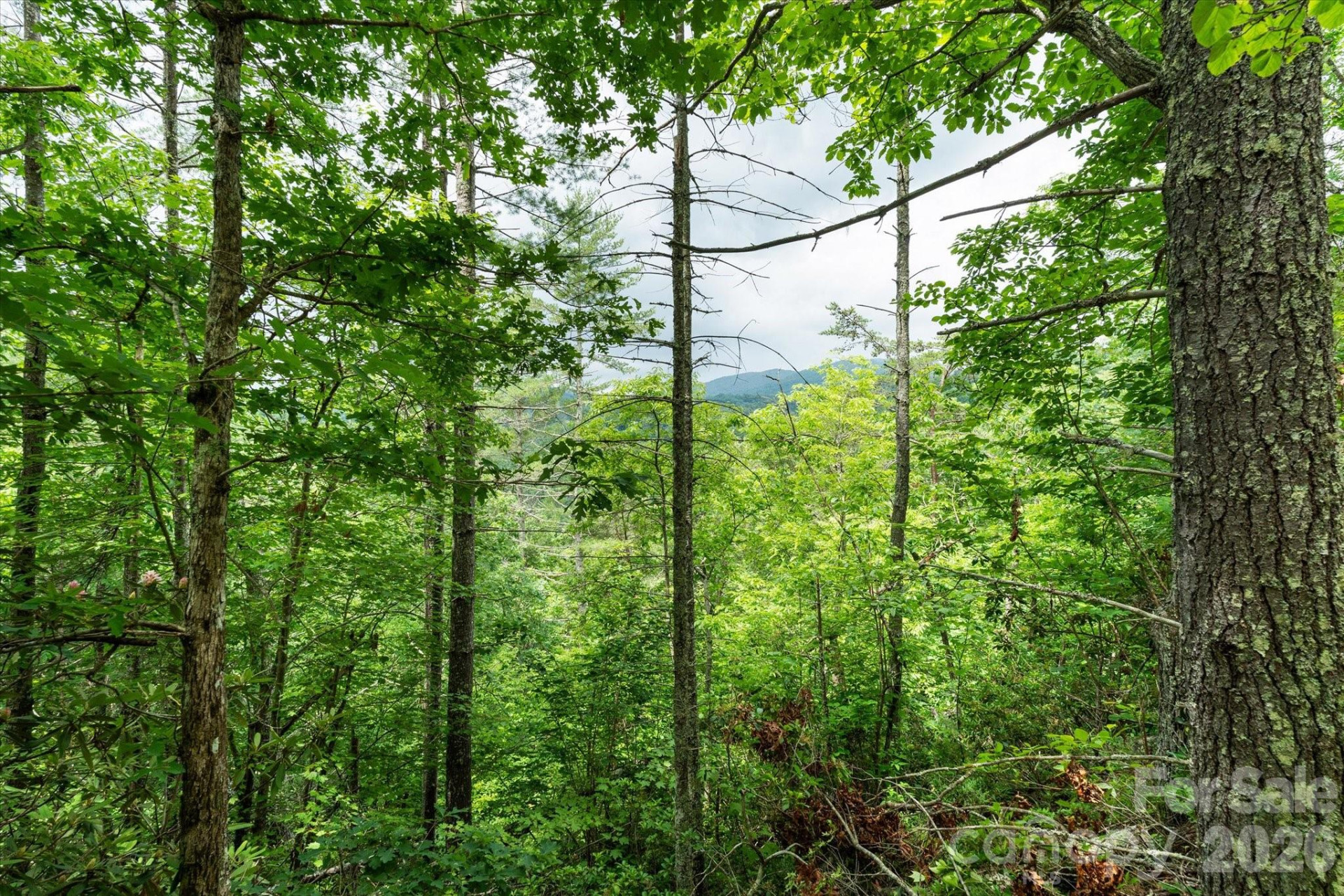 99999 Guntertown Road - Photo 13