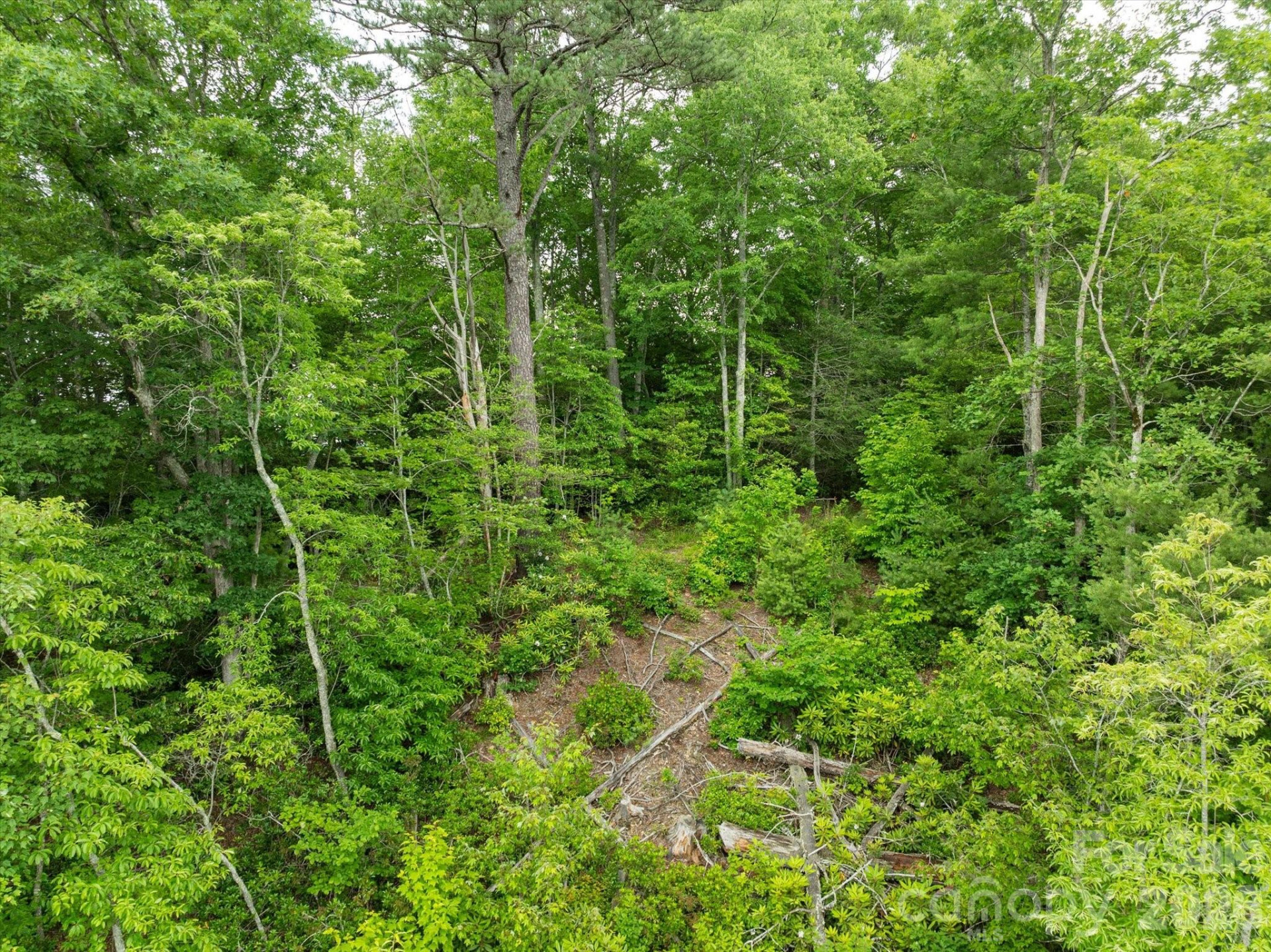 99999 Guntertown Road - Photo 14