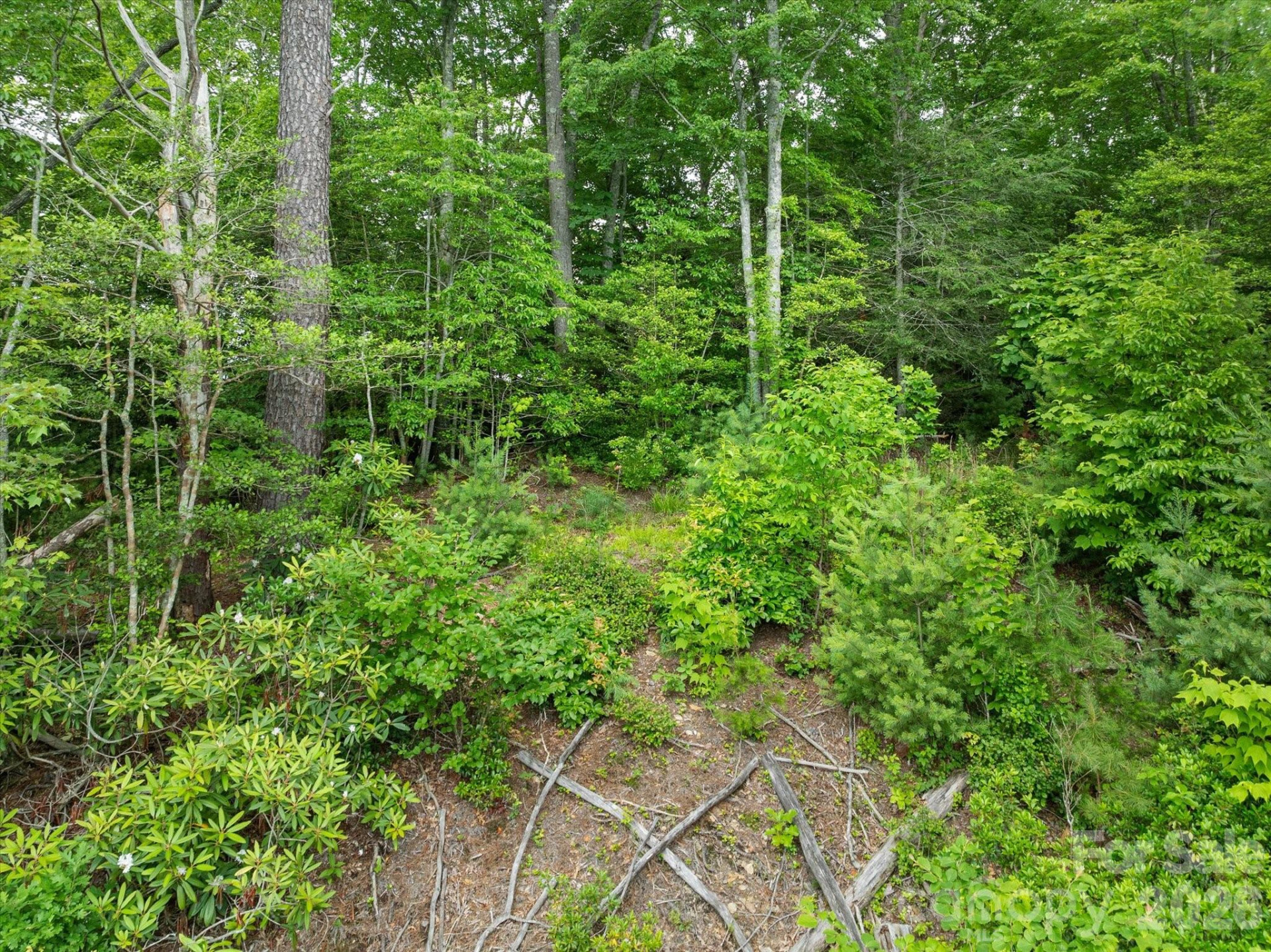 99999 Guntertown Road - Photo 15