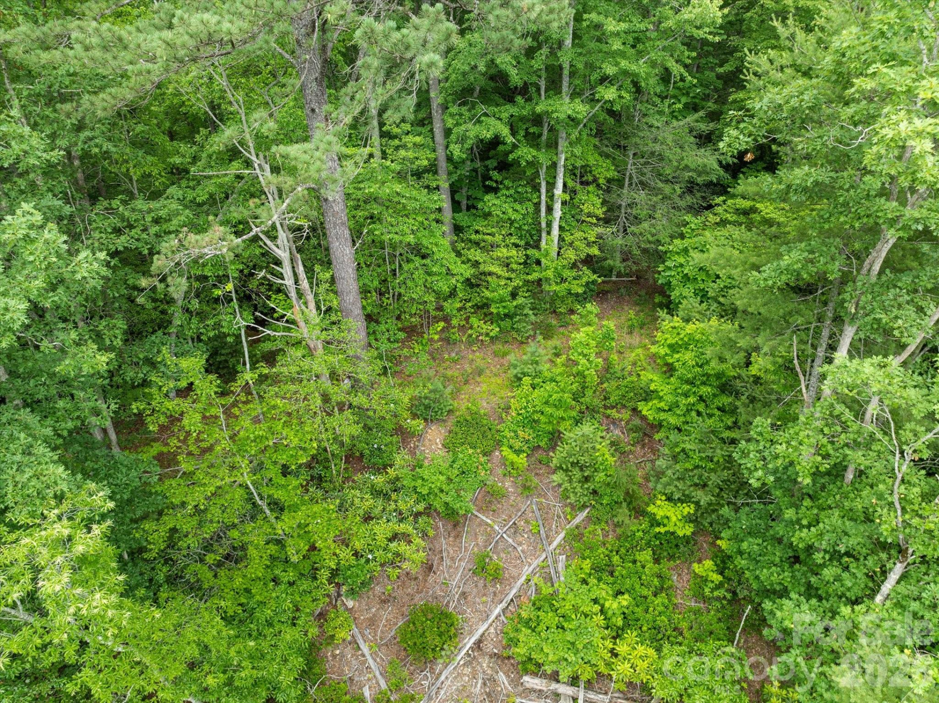 99999 Guntertown Road - Photo 16