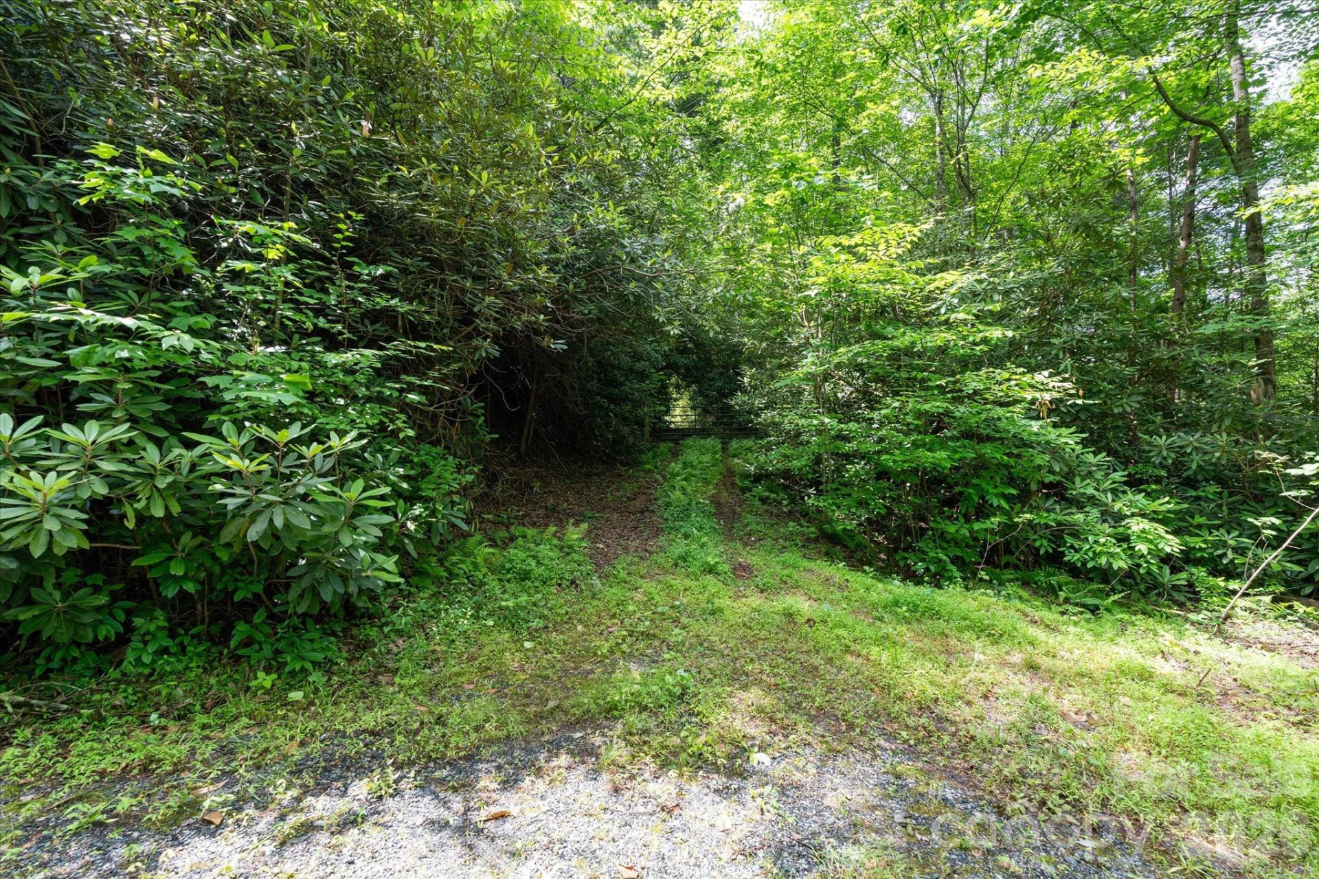 99999 Guntertown Road - Photo 17