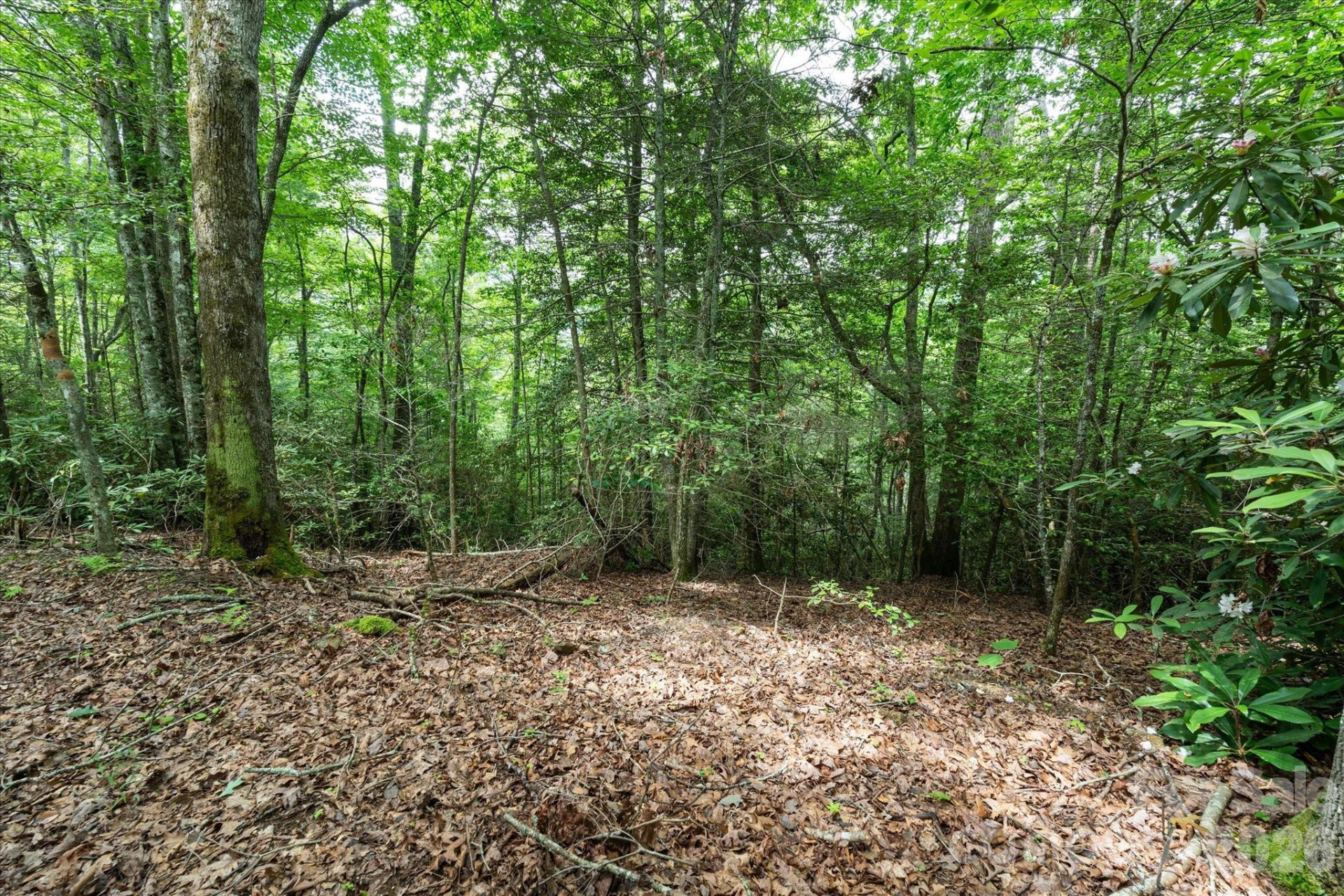 99999 Guntertown Road - Photo 18