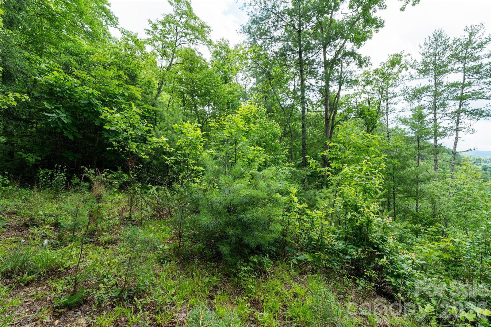 99999 Guntertown Road - Photo 19