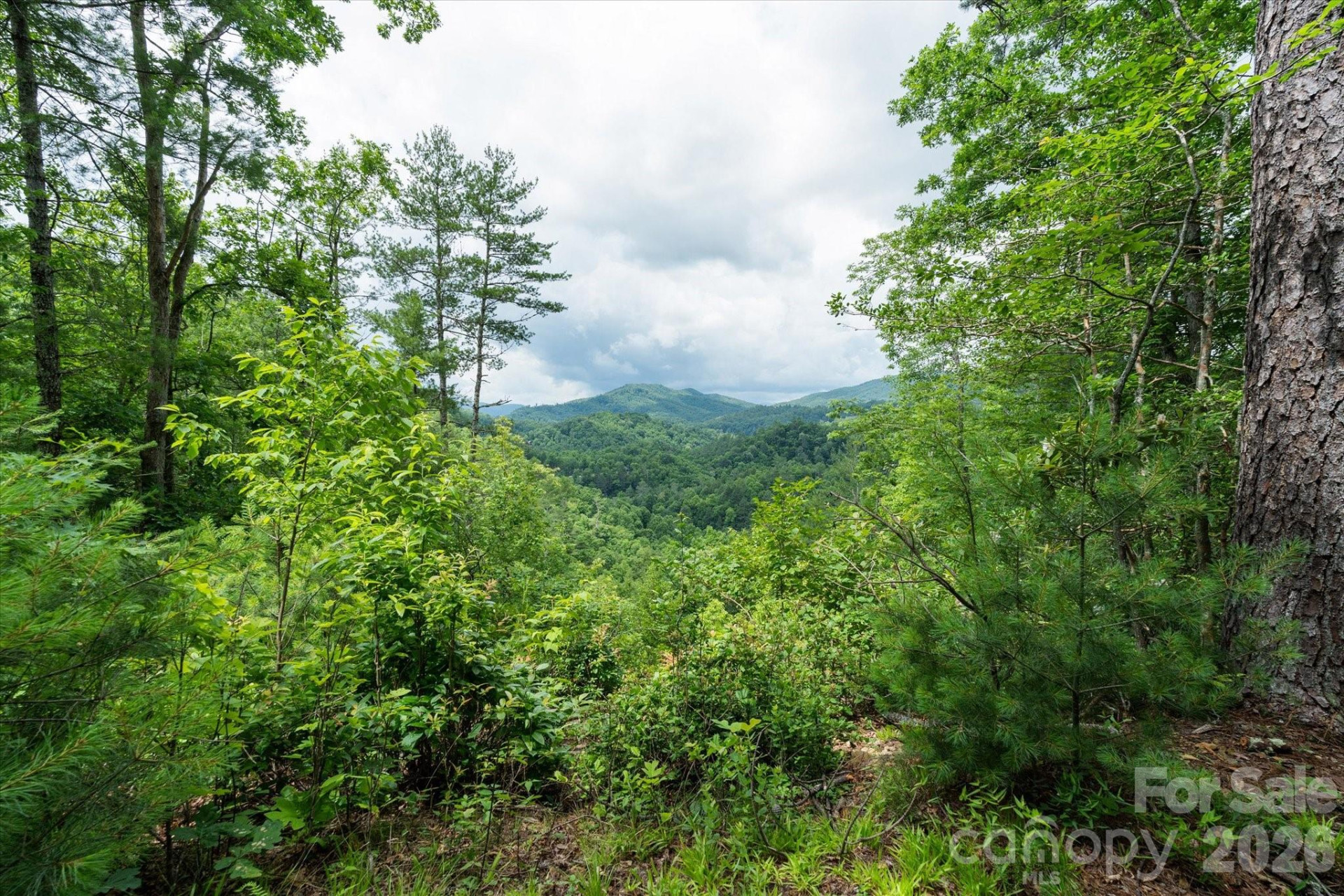 99999 Guntertown Road - Photo 4