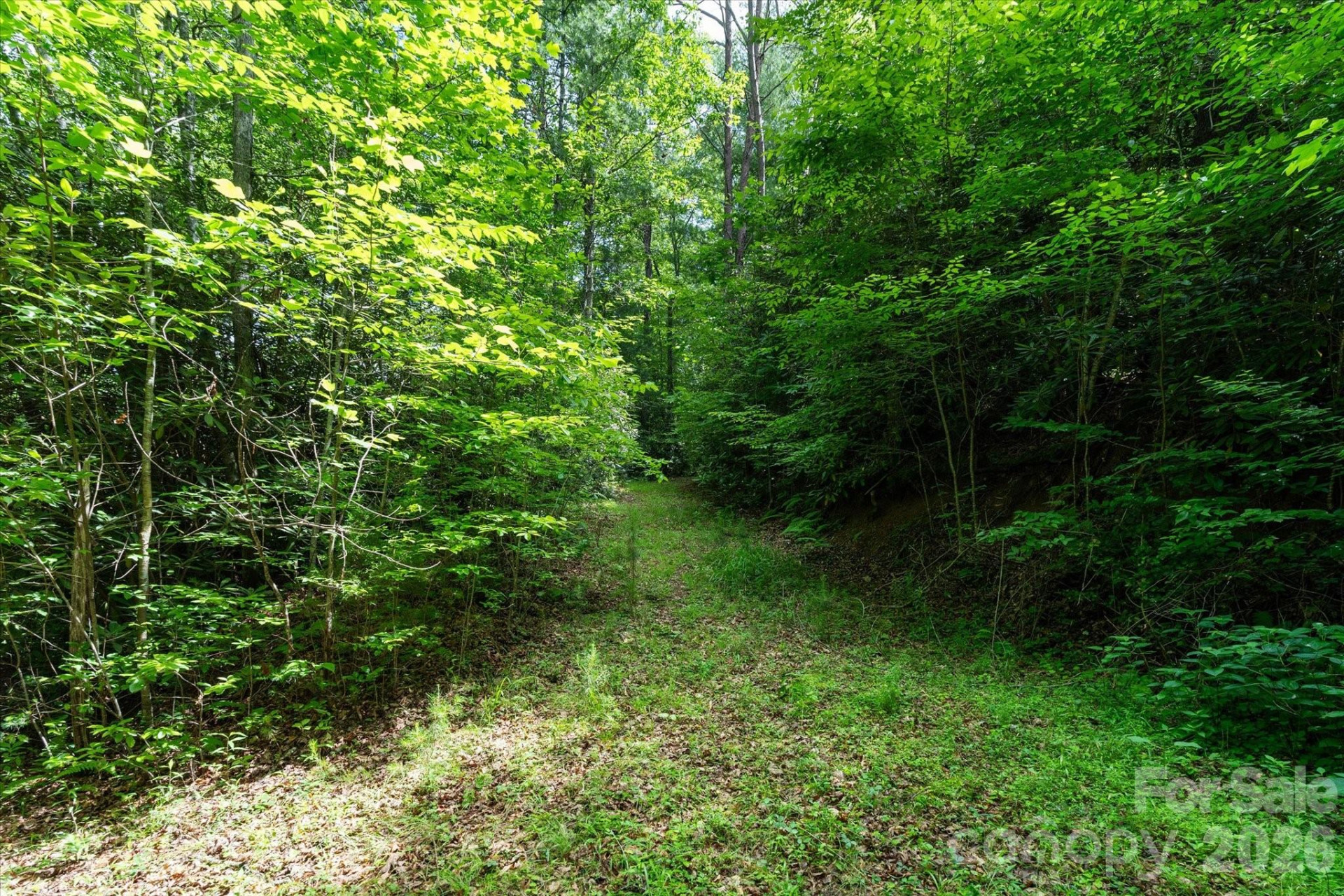 99999 Guntertown Road - Photo 5