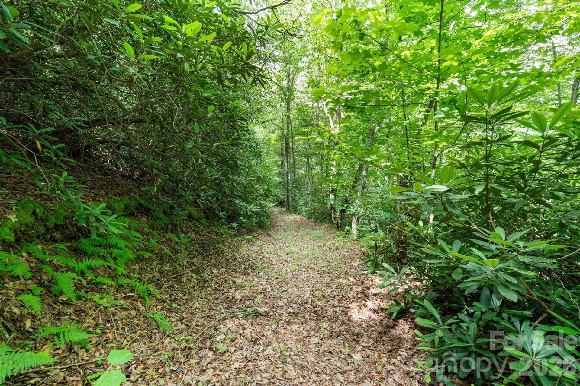 99999 Guntertown Road - Photo 6