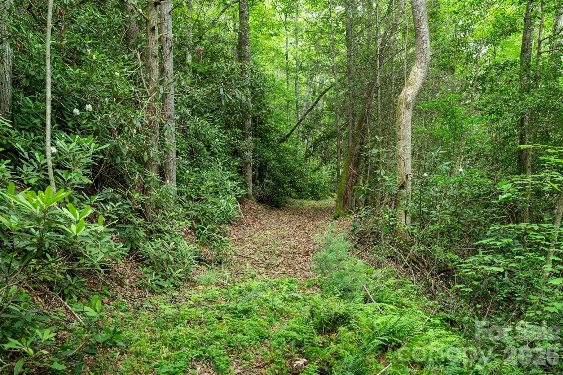 99999 Guntertown Road - Photo 7