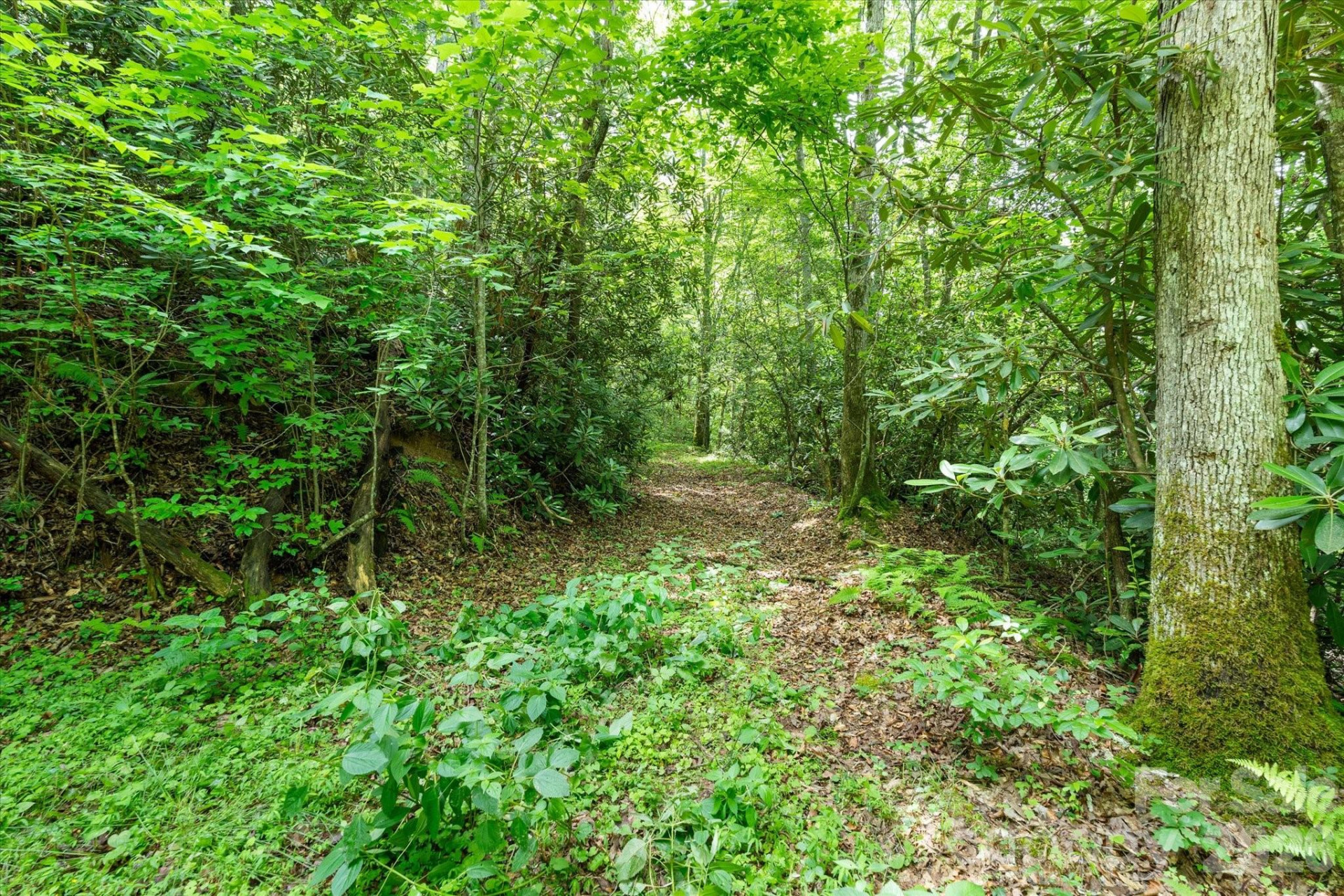 99999 Guntertown Road - Photo 8