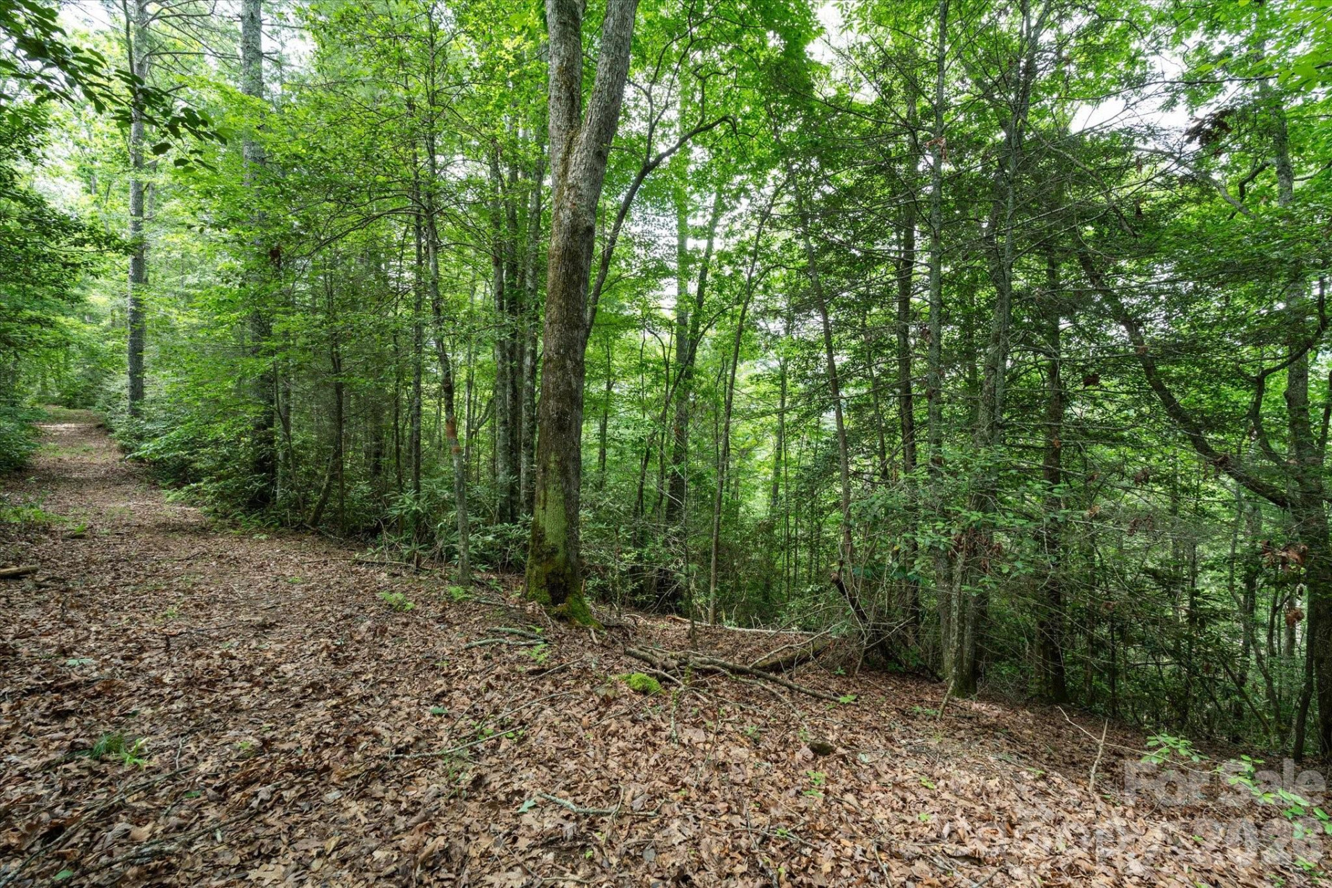 99999 Guntertown Road - Photo 9