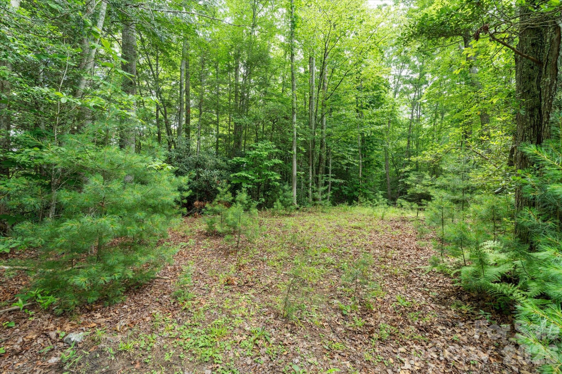 99999 Guntertown Road - Photo 10