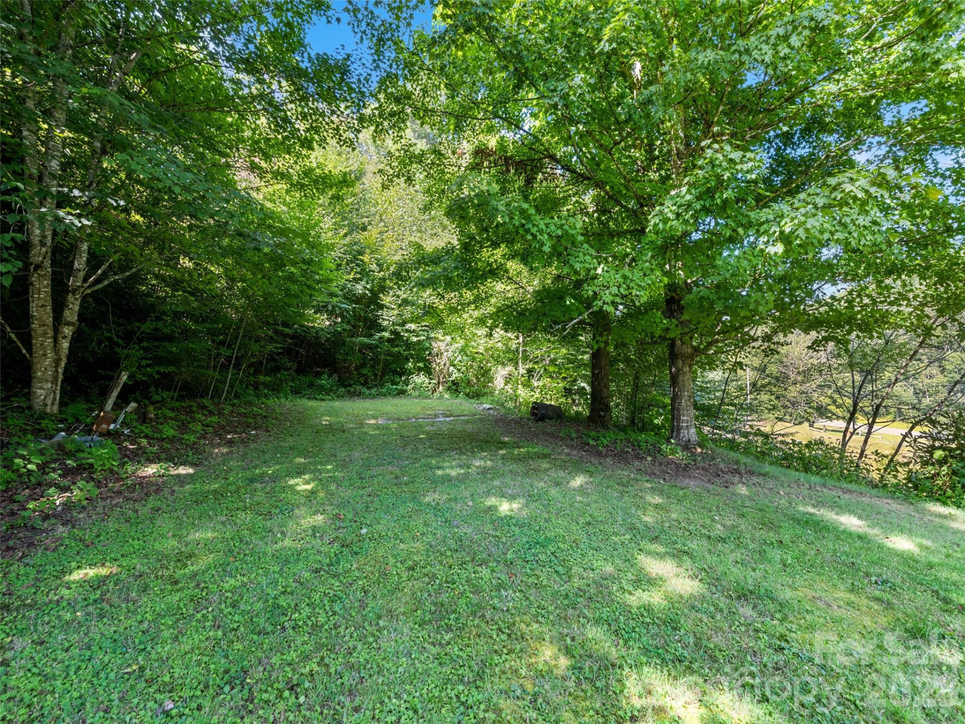 4 & 20 Plott Balsam Road - Photo 4