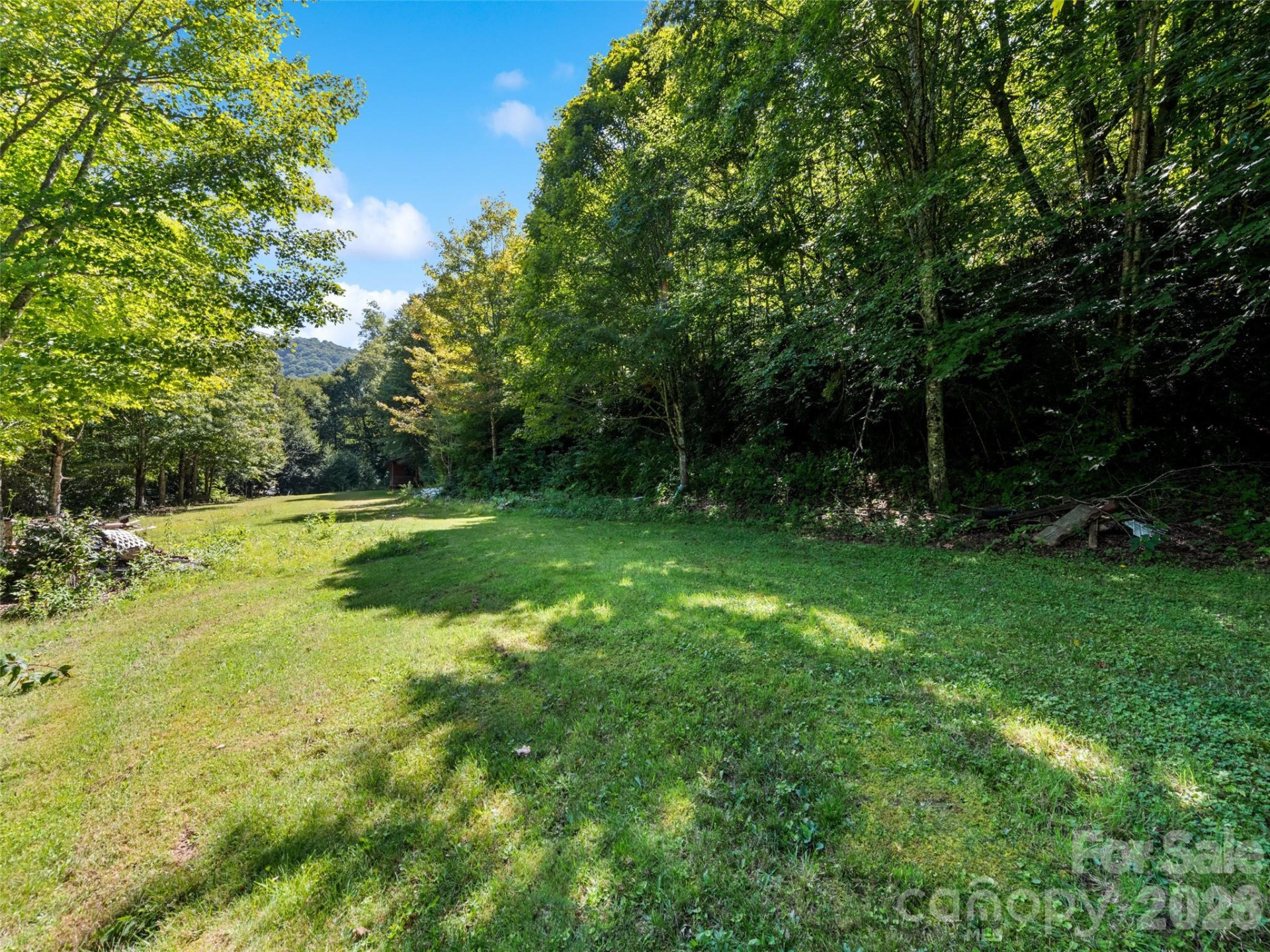 4 & 20 Plott Balsam Road - Photo 5