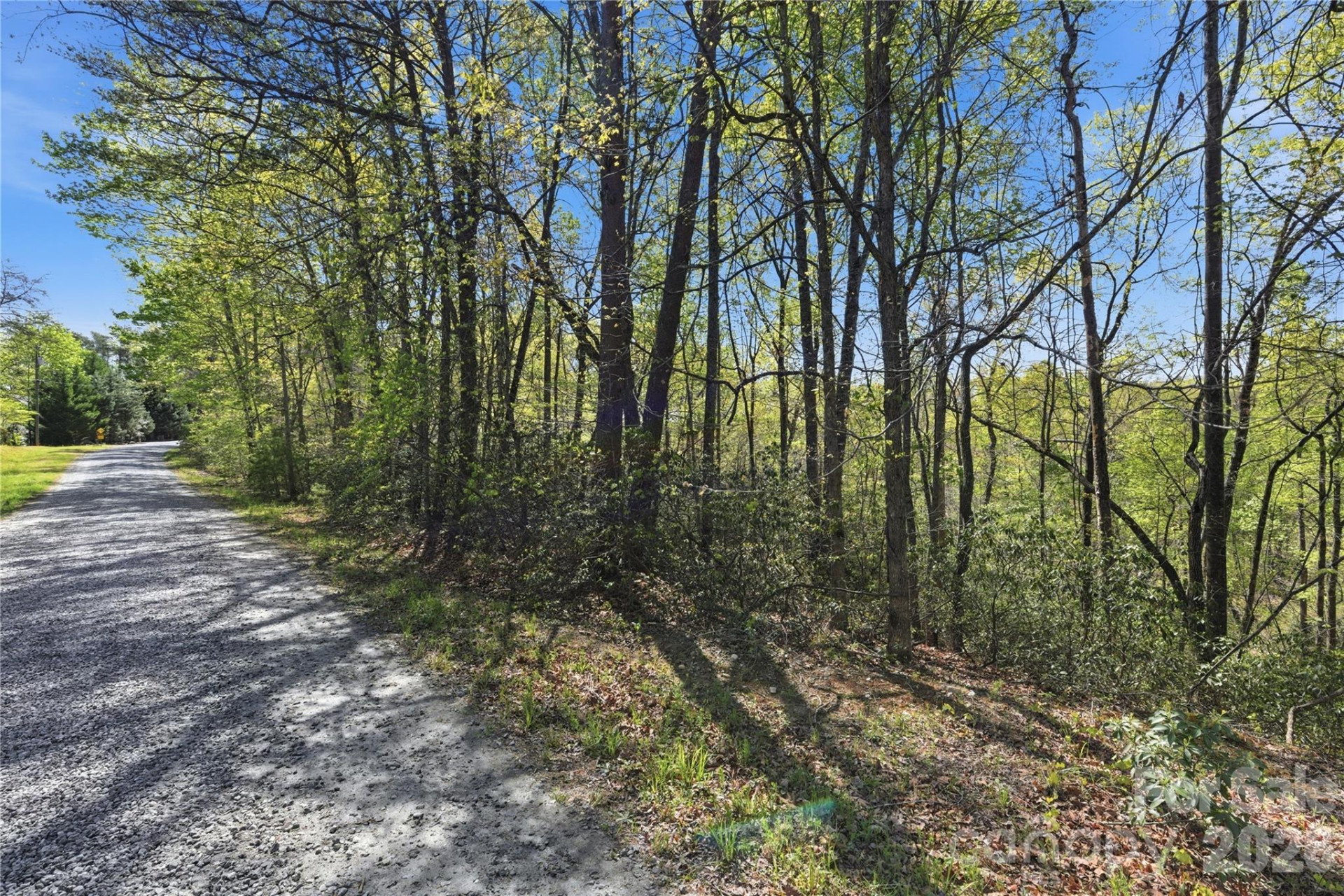 Lot 304 Sanderling Court #304 - Photo 5