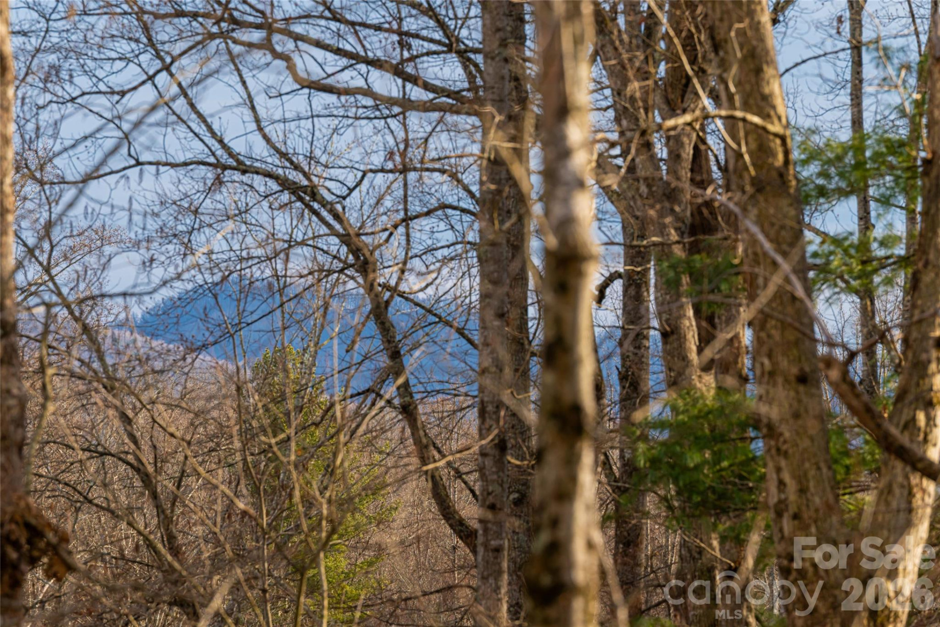 13 Cambridge Drive - Photo 7