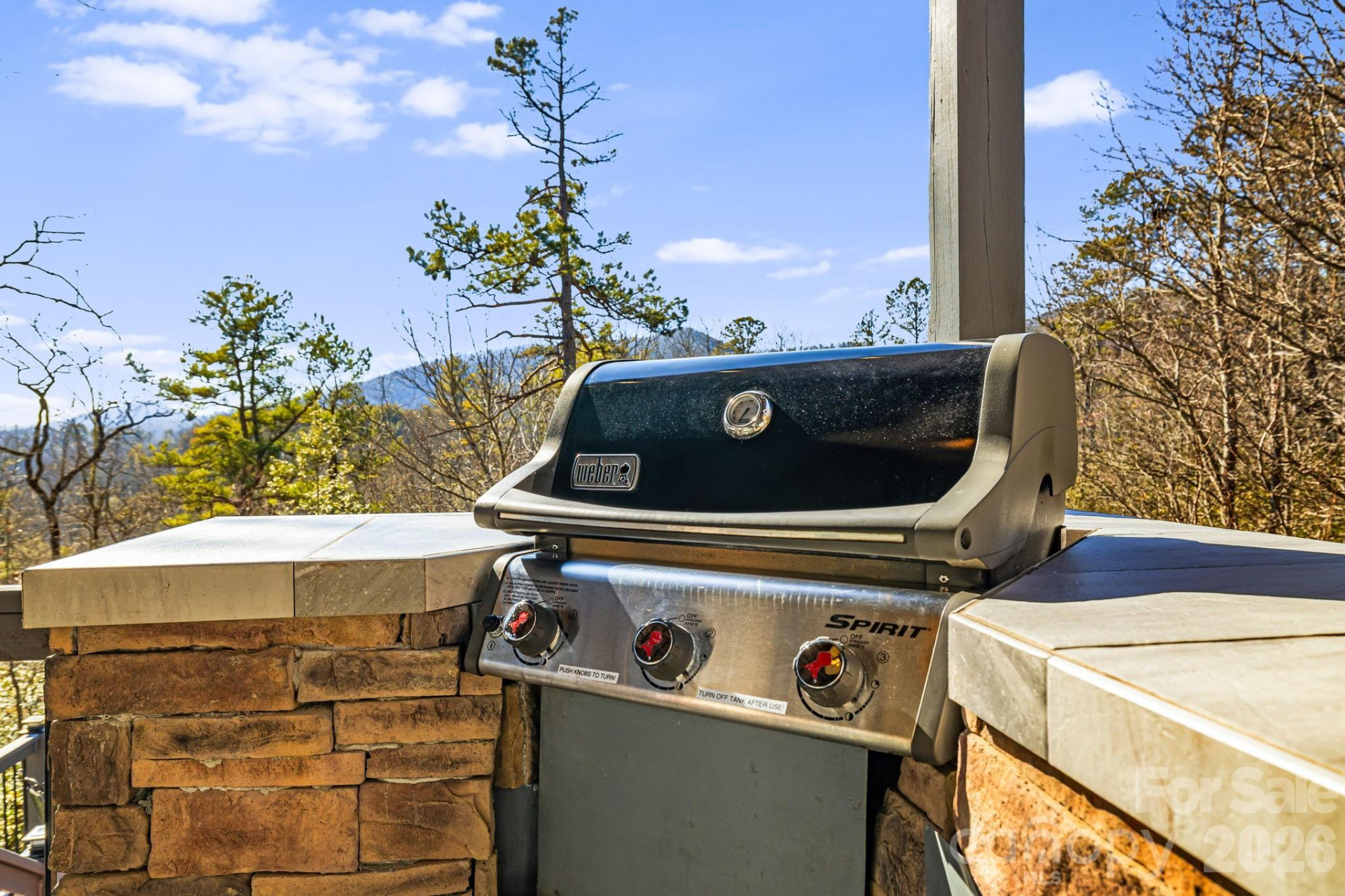 299 Lookout Drive - Photo 41