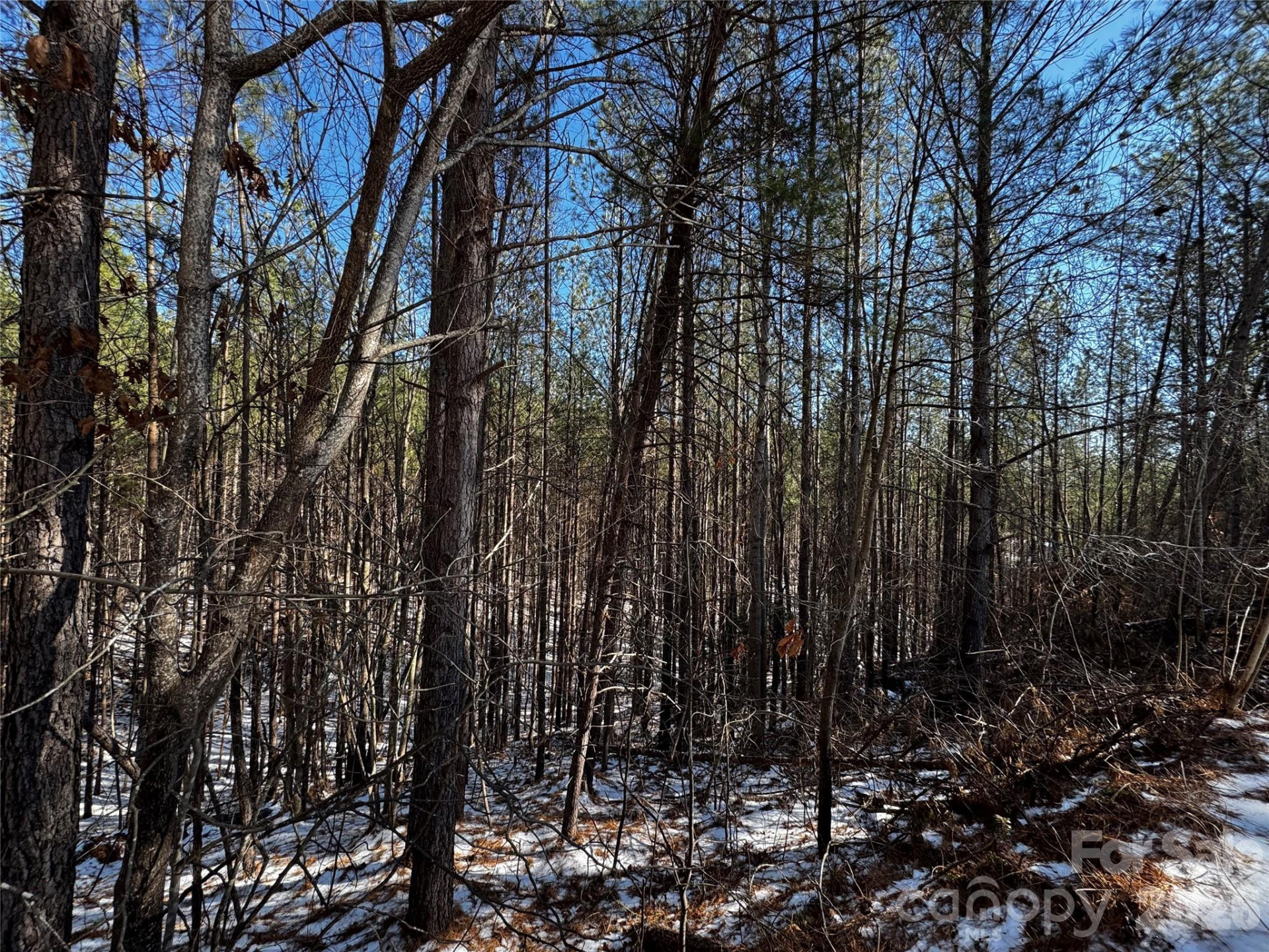 LT 5 Geebees Way - Photo 2