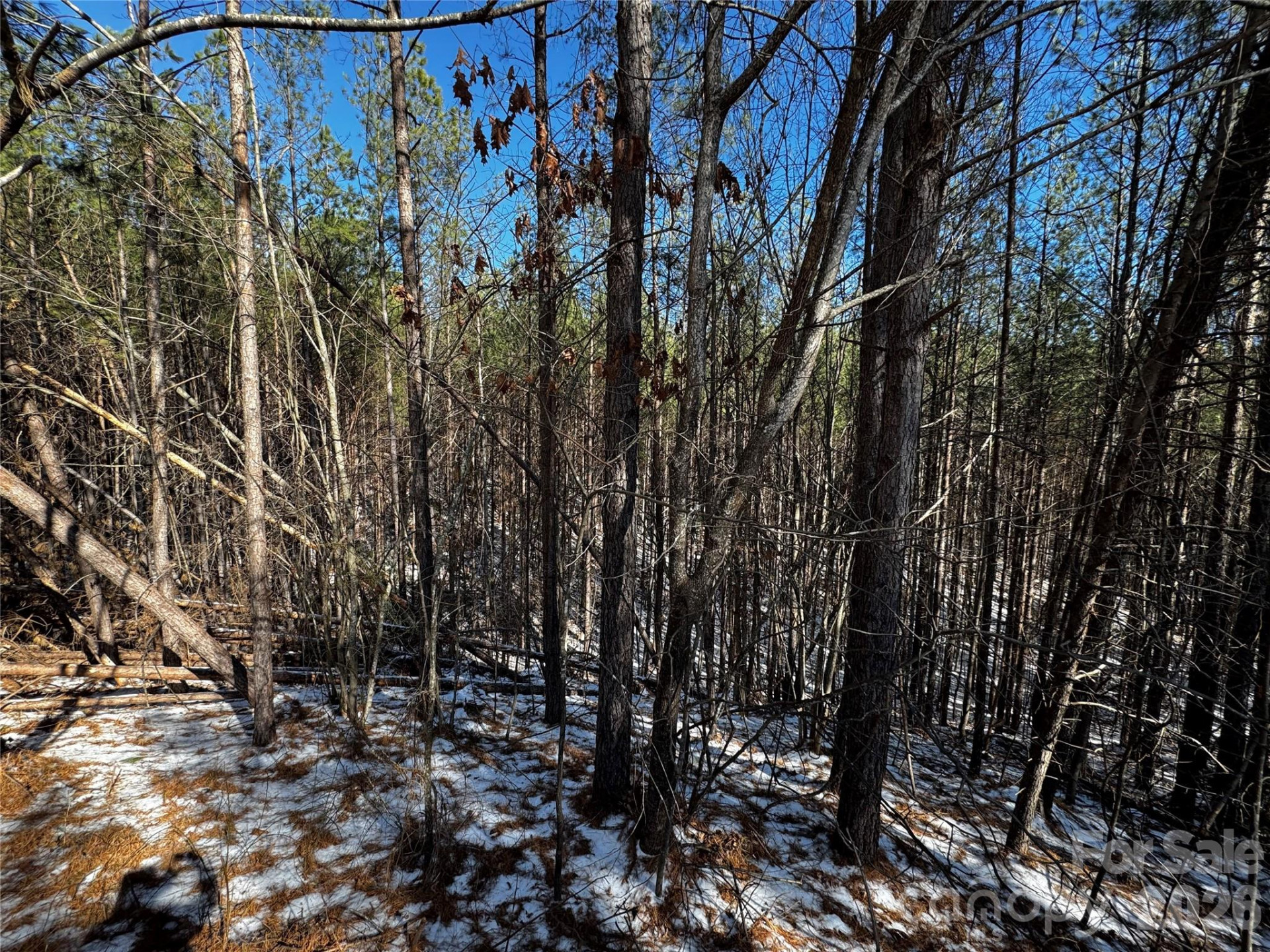 LT 5 Geebees Way - Photo 3