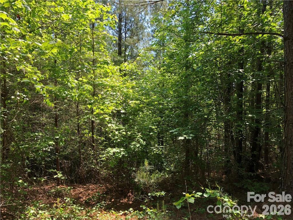 LT 5 Geebees Way - Photo 4