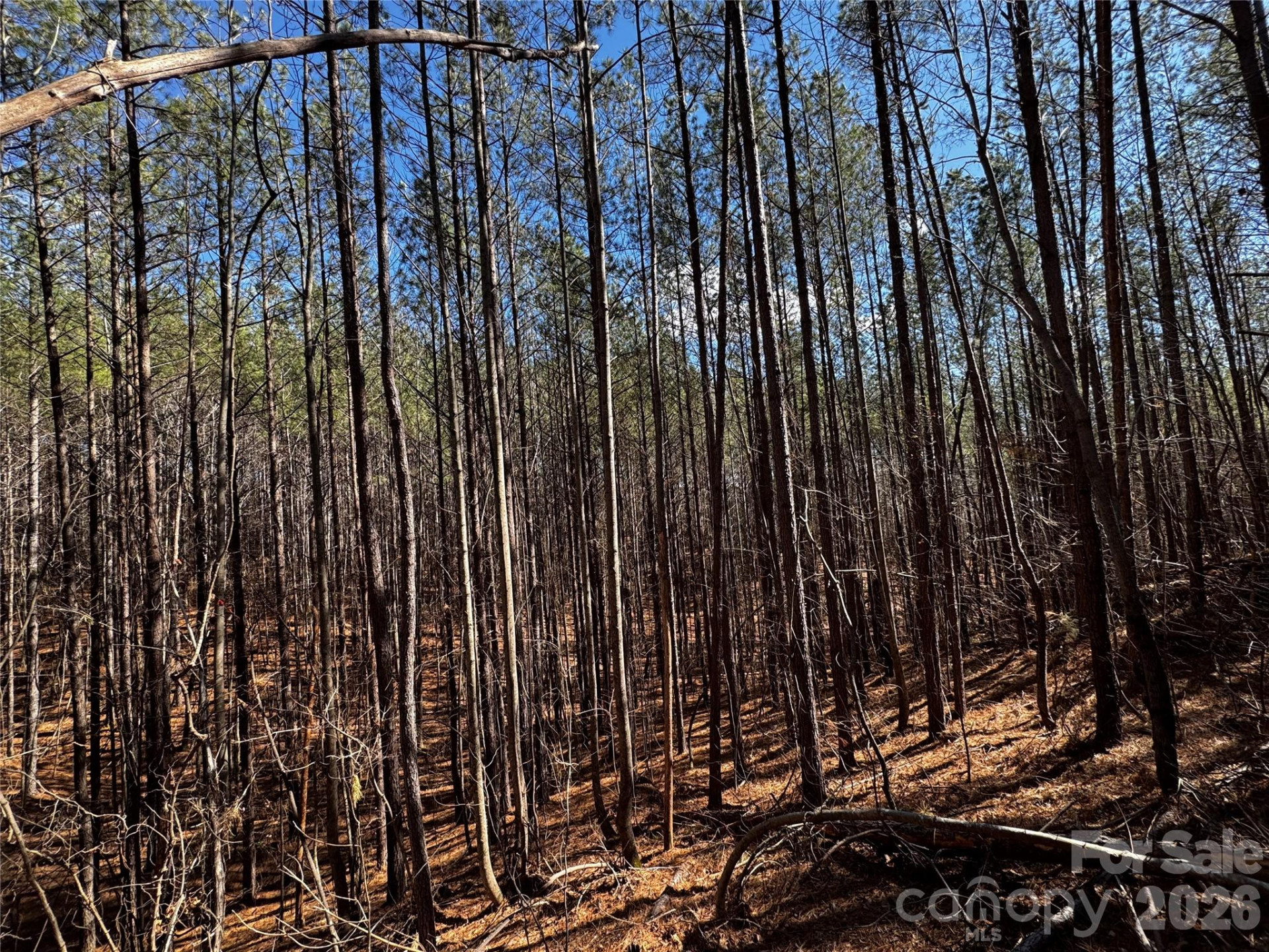 LT 5 Geebees Way - Photo 8