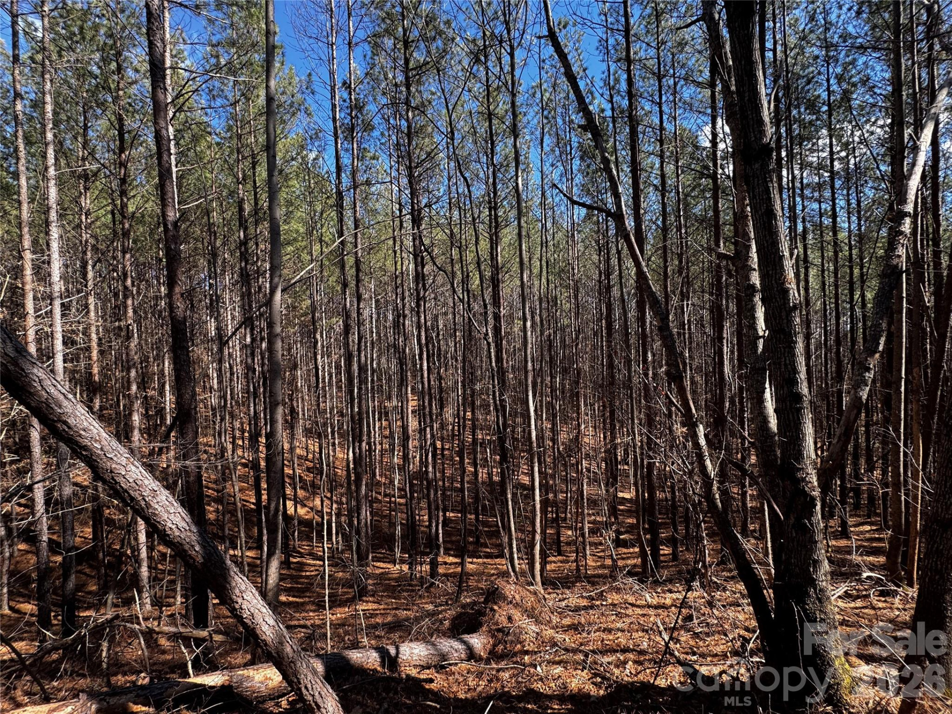 LT 5 Geebees Way - Photo 9