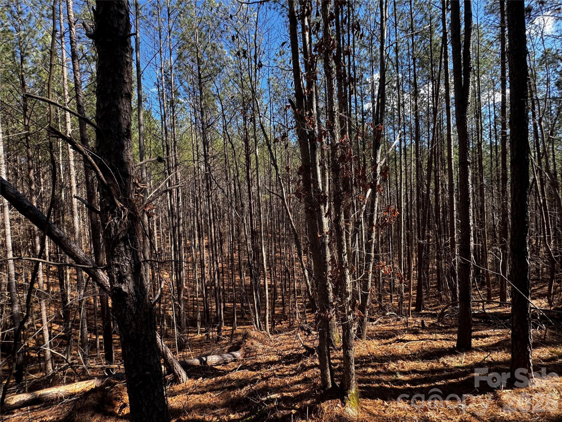 LT 5 Geebees Way - Photo 10