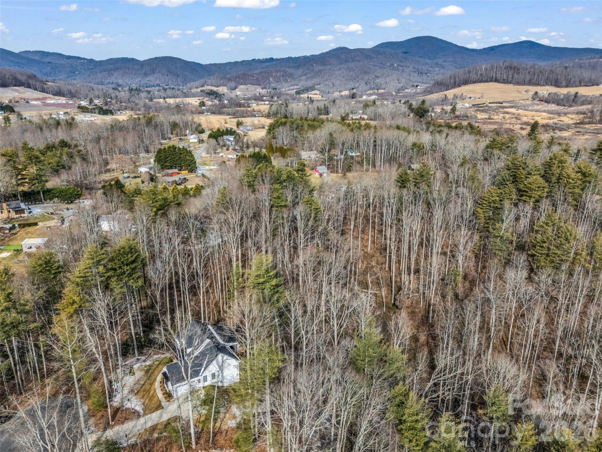 88 Summer Shade Court - Photo 11