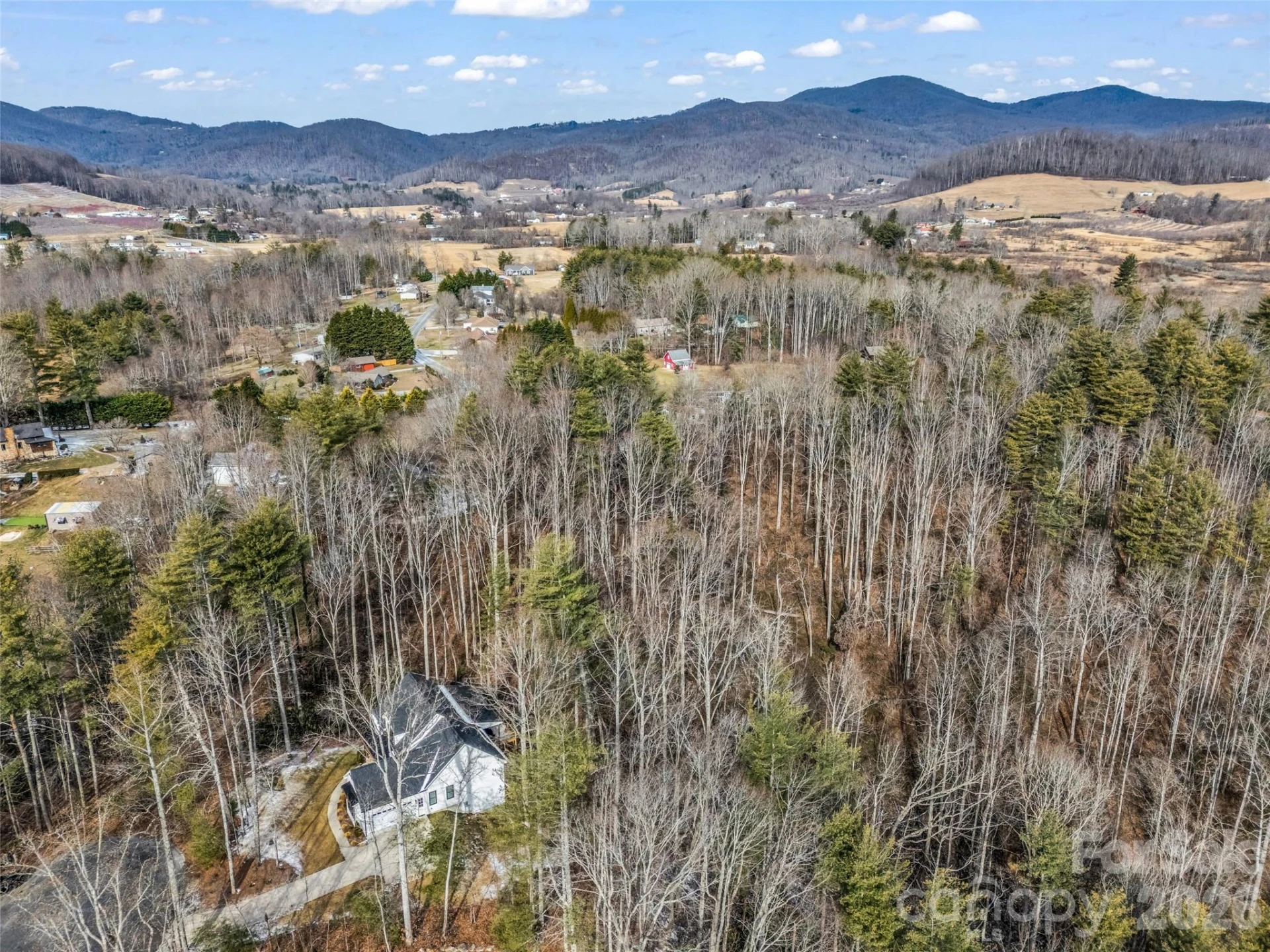 88 Summer Shade Court - Photo 11