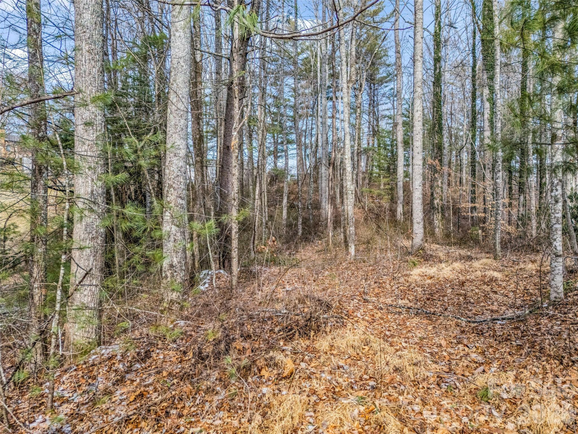 88 Summer Shade Court - Photo 28