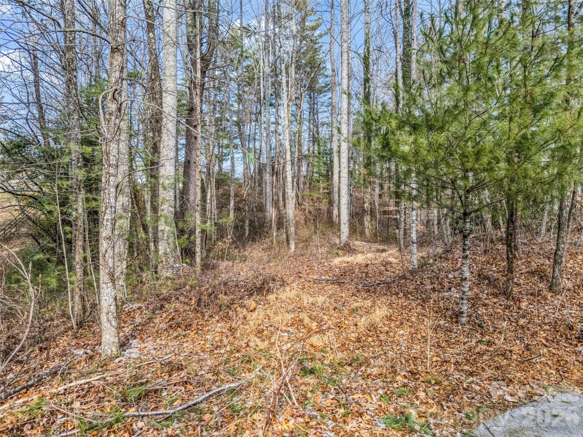 88 Summer Shade Court - Photo 29