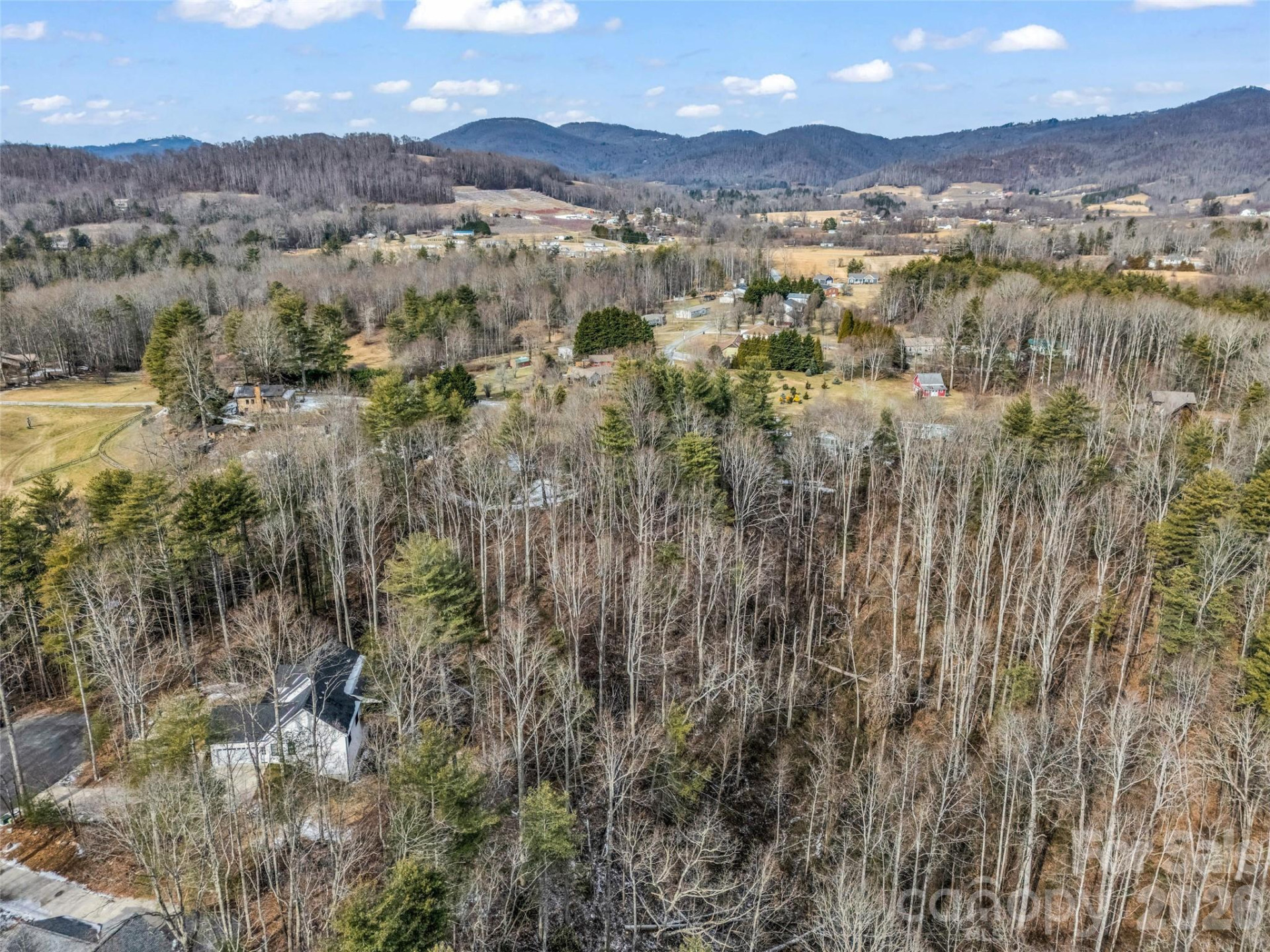 88 Summer Shade Court - Photo 10