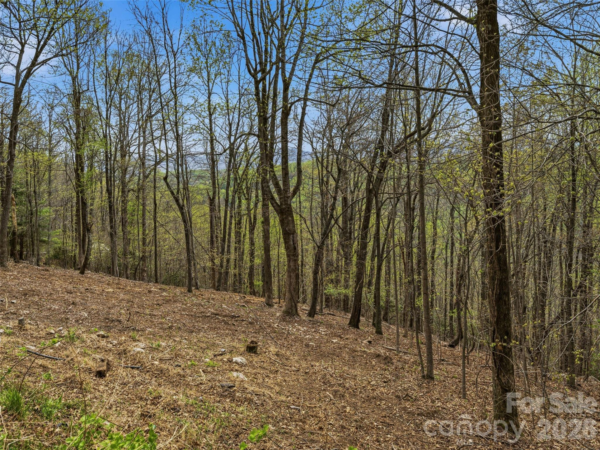 4164 Laurel Park Highway #10 - Photo 18