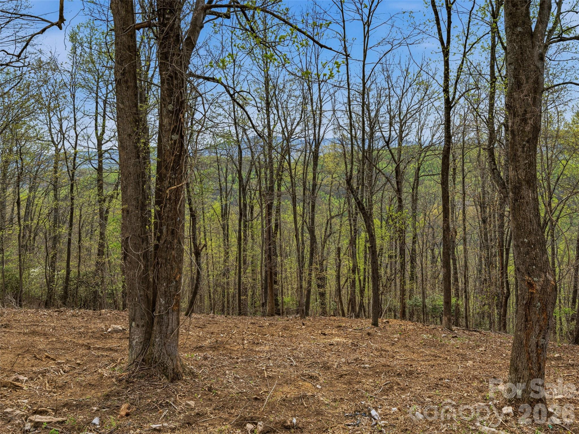 4164 Laurel Park Highway #10 - Photo 19