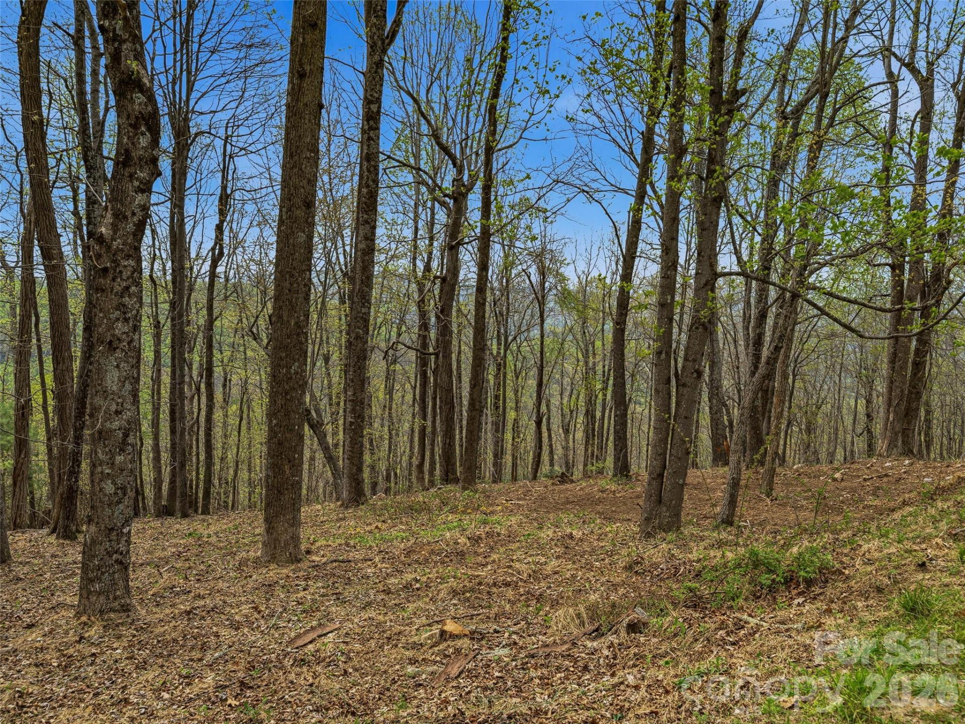 4164 Laurel Park Highway #10 - Photo 20